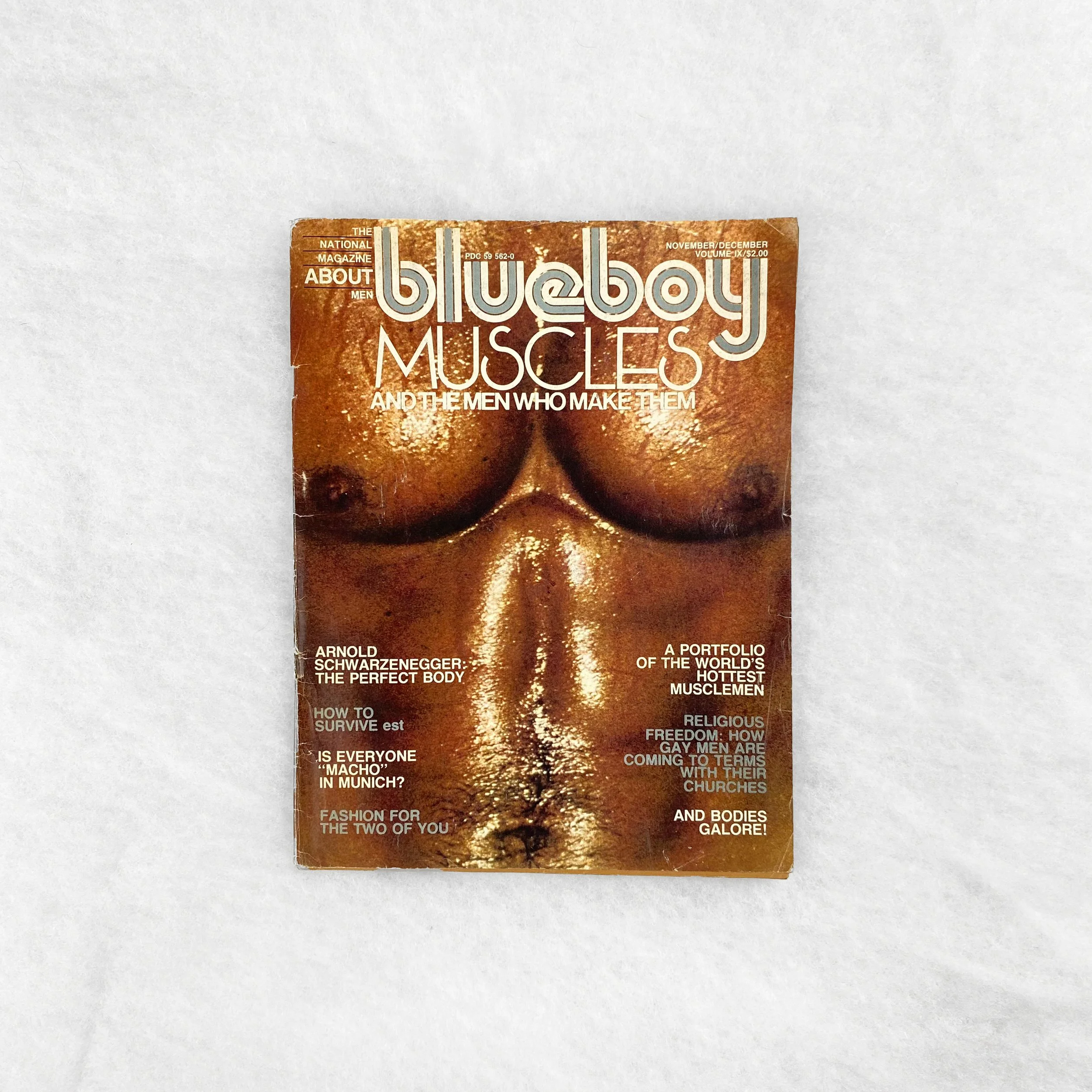   GAY object 149   Blueboy  magazine volume IX 