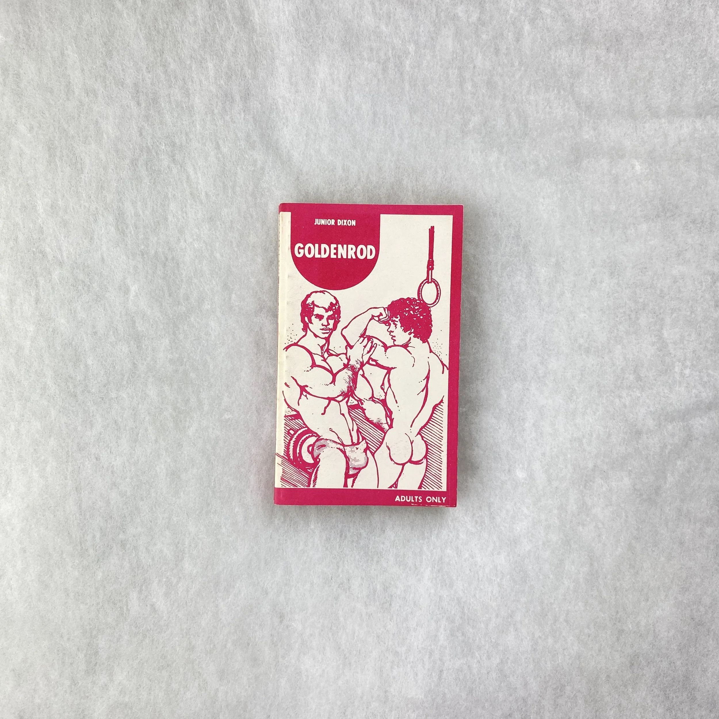   GAY object 038   Goldenrod  by Junior Dixon 