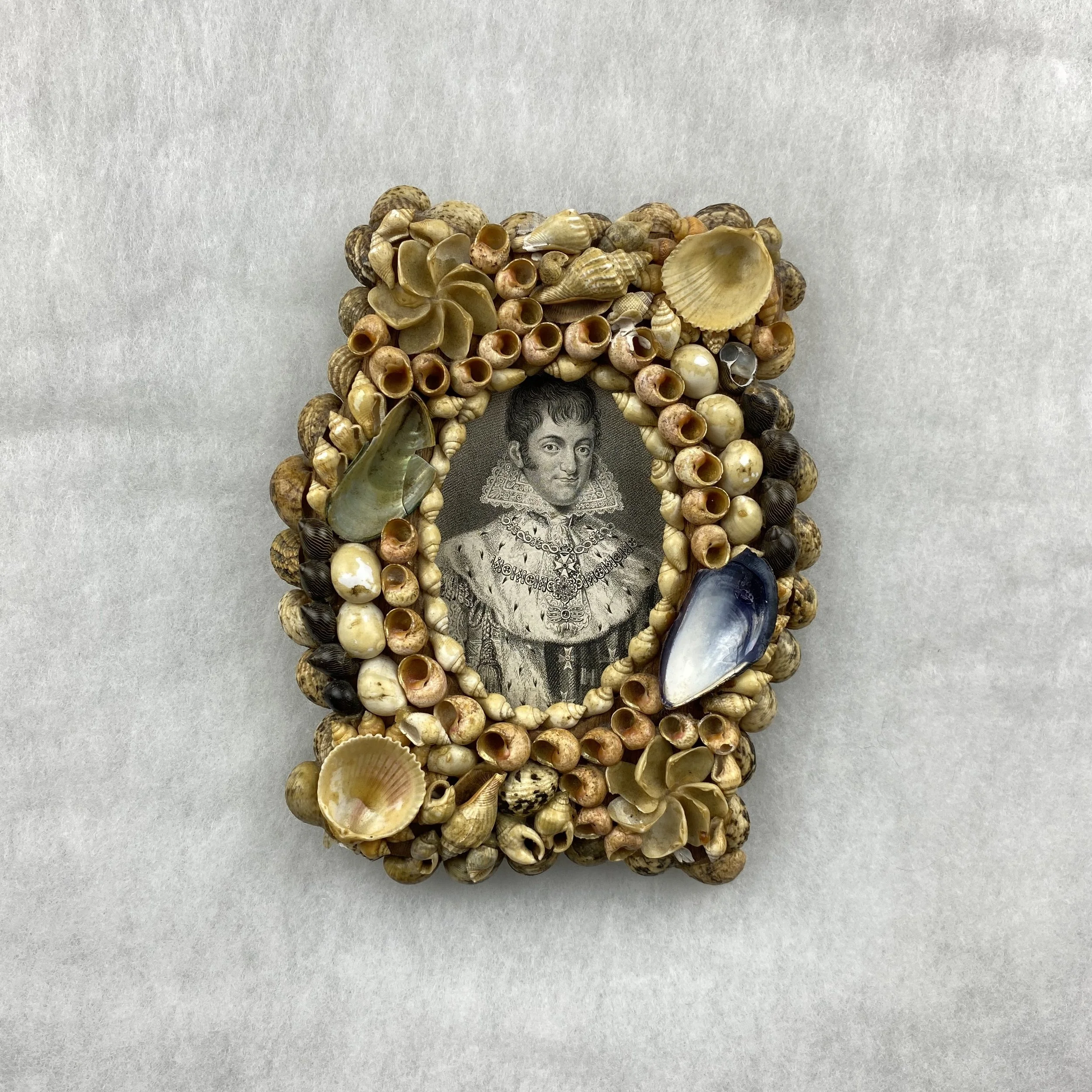   GAY object 018  Seashell frame with portrait engraving of an unknown nobleman 