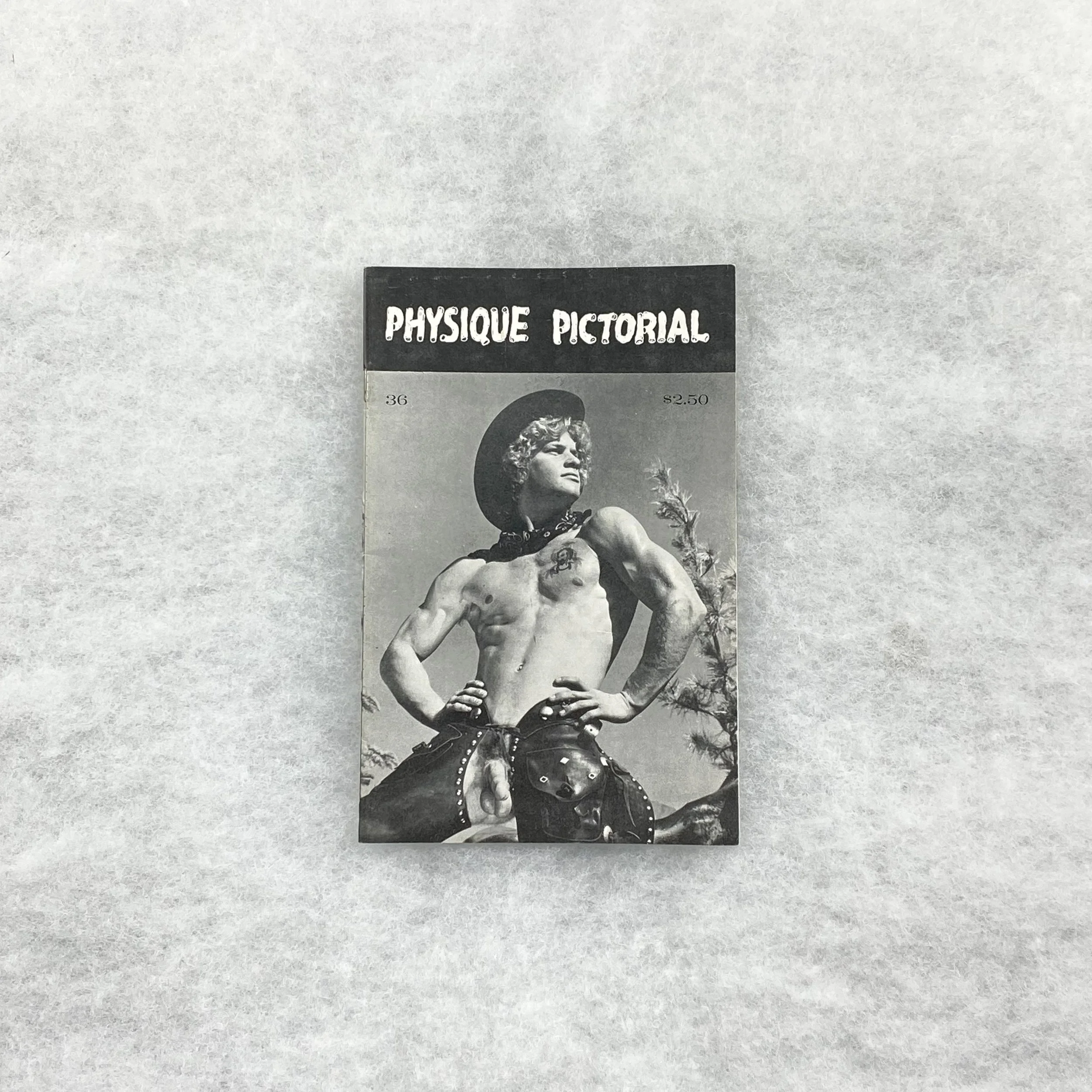   GAY object 095   Physique Pictorial  Vol 36 