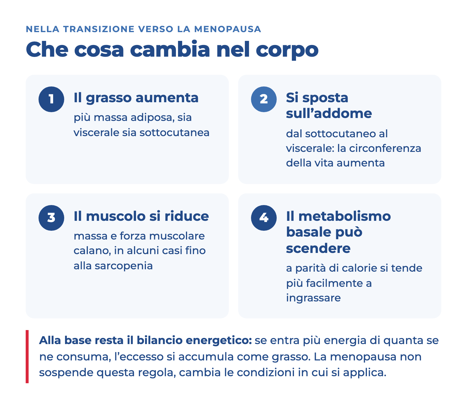 Schema dei quattro cambiamenti del corpo nella transizione verso la menopausa: il grasso aumenta, si sposta sull'addome, il muscolo si riduce, il metabolismo basale può scendere.