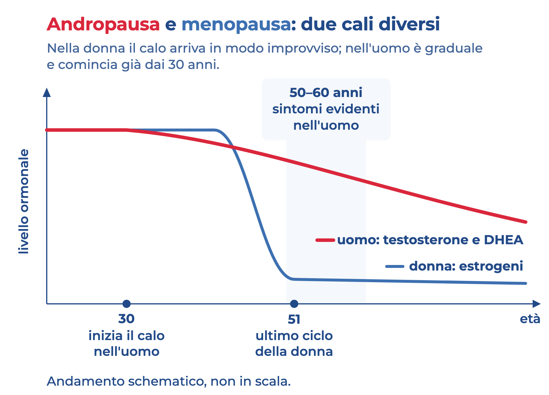 Grafico che confronta andropausa e menopausa: nella donna gli estrogeni calano in modo improvviso intorno ai 51 anni, nell'uomo testosterone e DHEA calano gradualmente dai 30.