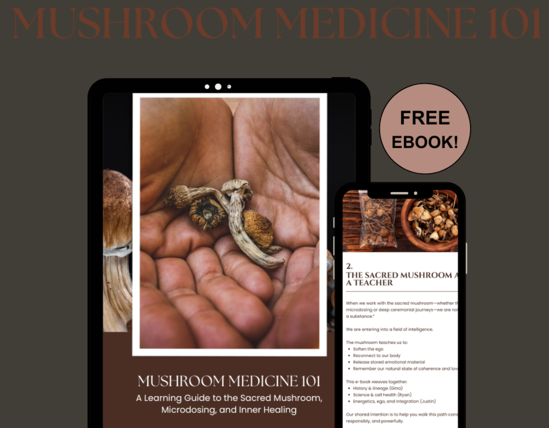 Mushroom Medicine 101