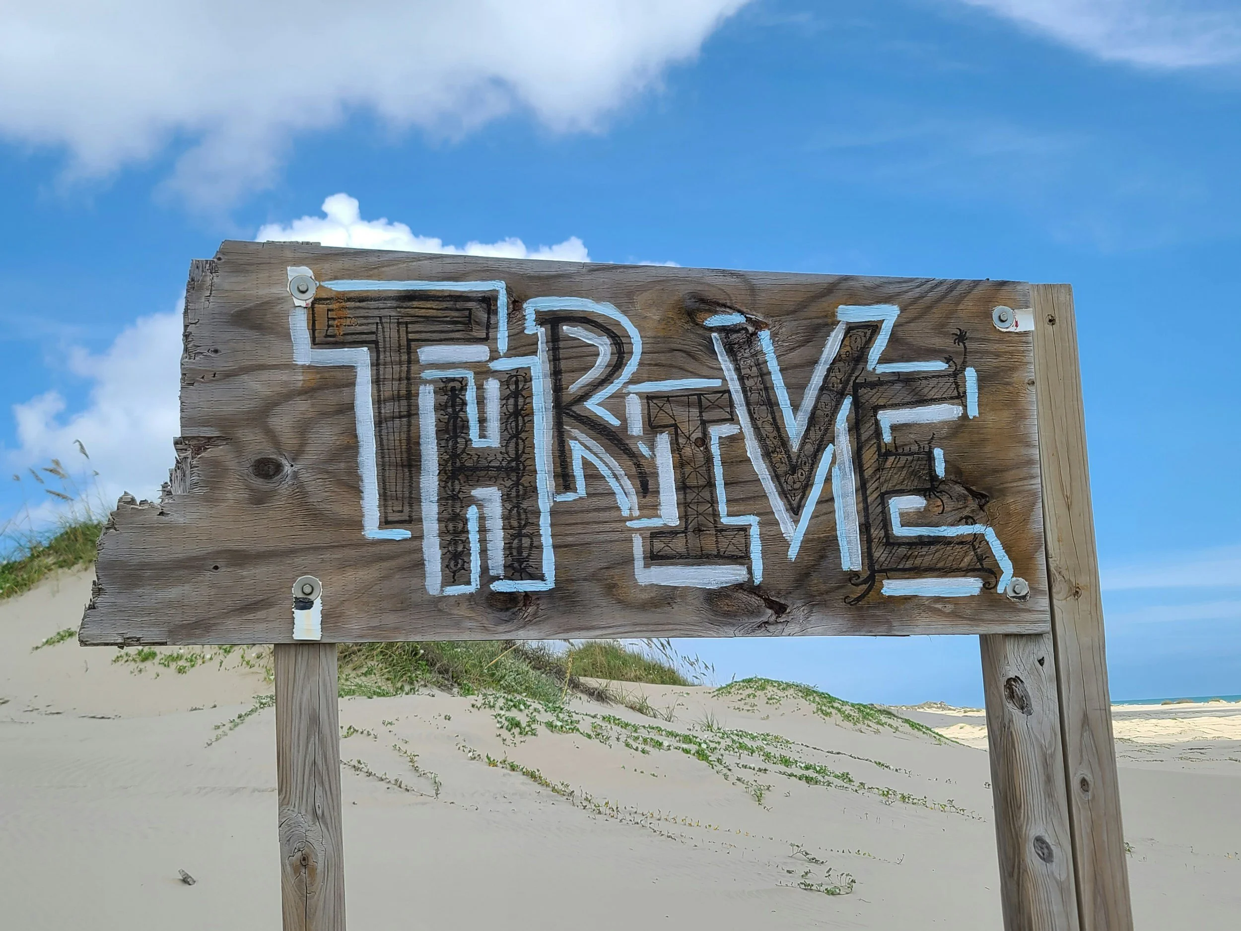 Photo of a wooden sign that states "thrive" on the beach