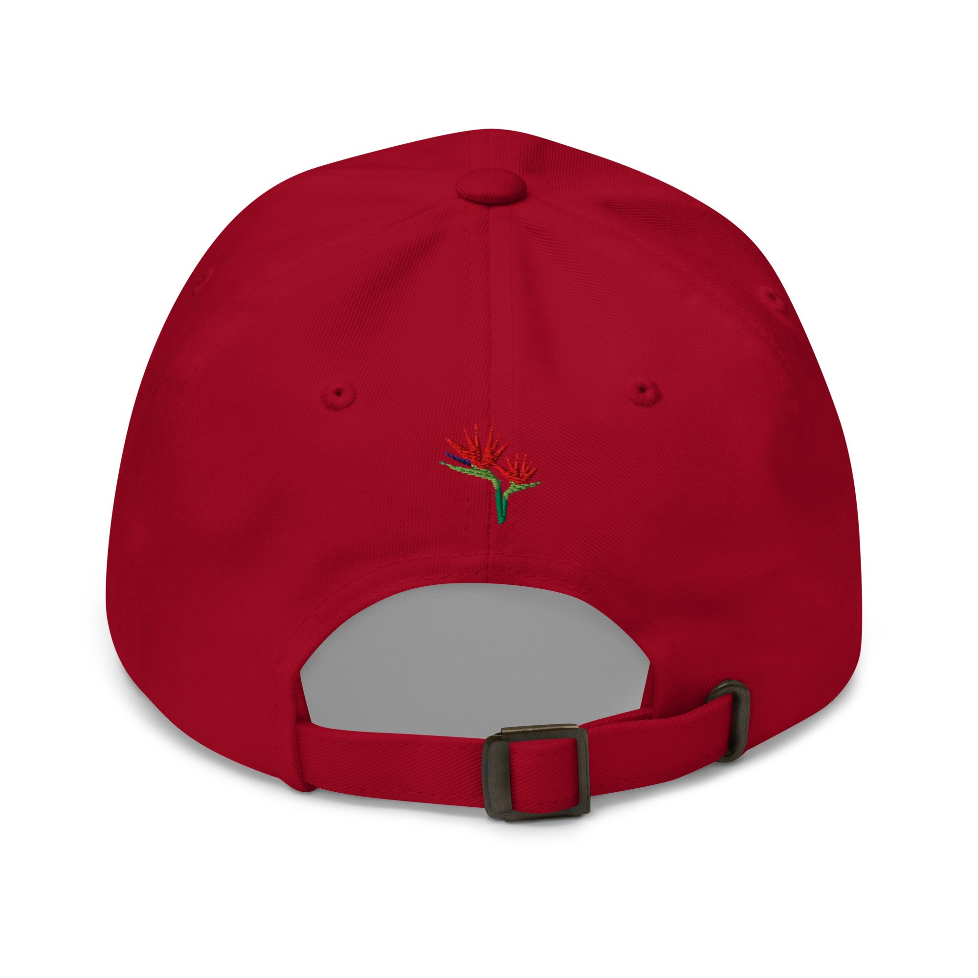 classic-dad-hat-cranberry-back-67e8deefe3790.jpg