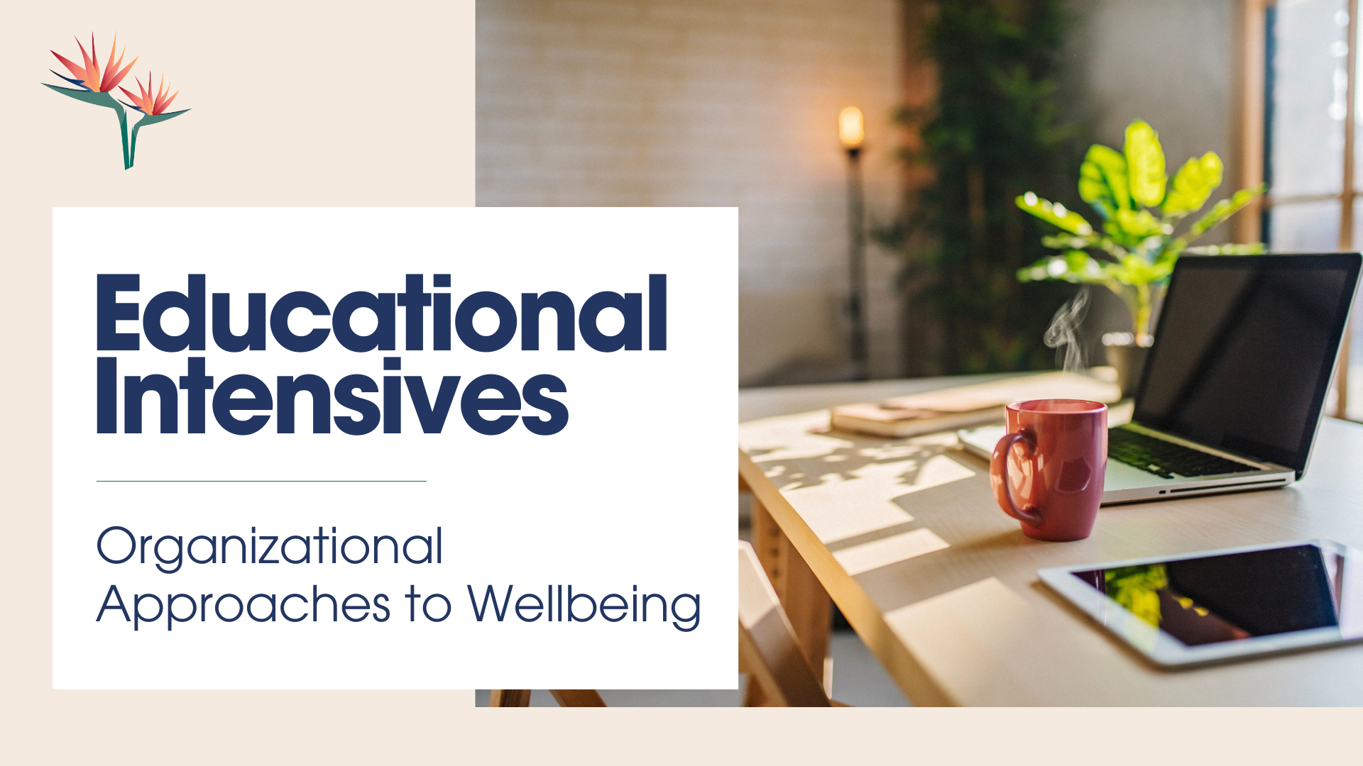 A workspace with a laptop, tablet, and a steaming coffee mug on a wooden table, with sunlight streaming through a window and a green plant in the background.