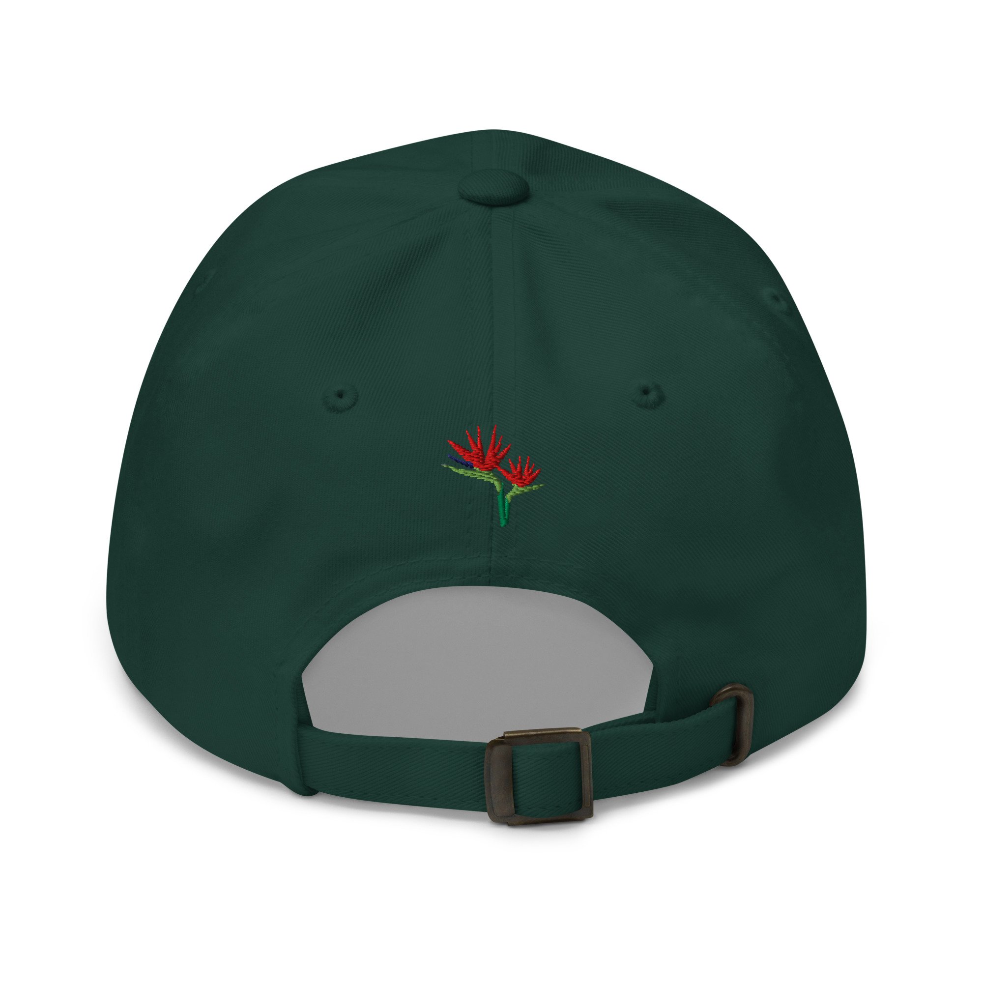 classic-dad-hat-spruce-back-67e8deefe3fab.jpg