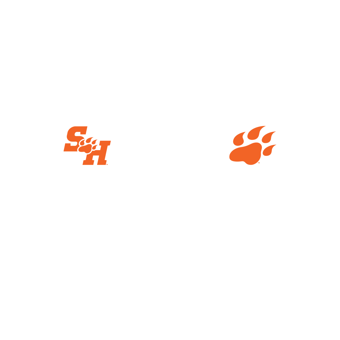 Sam Houston State Guard