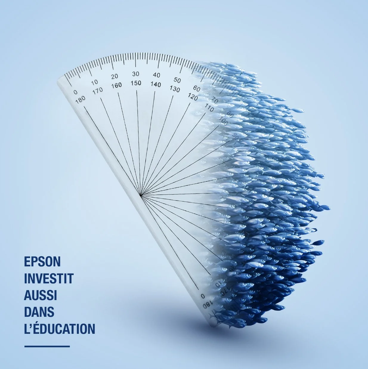 EPSON RSE B2B FISHS.jpg