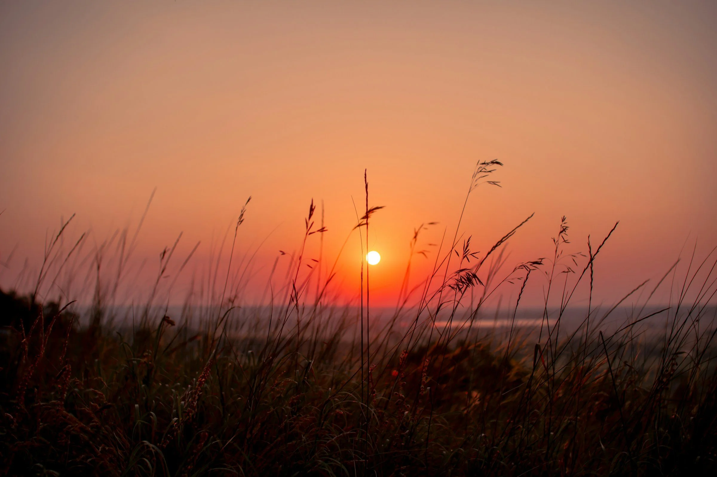 Ayurvedisk Inspirationsdag, Bollnäs