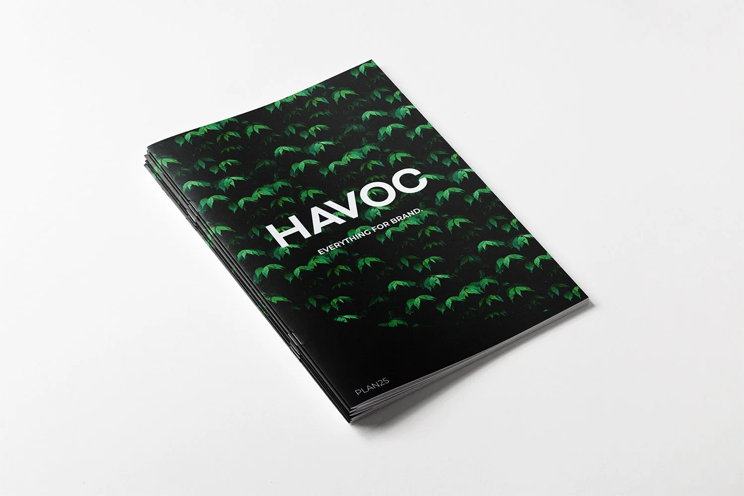 A4_Brochure_Cover_Mockup_1.jpg