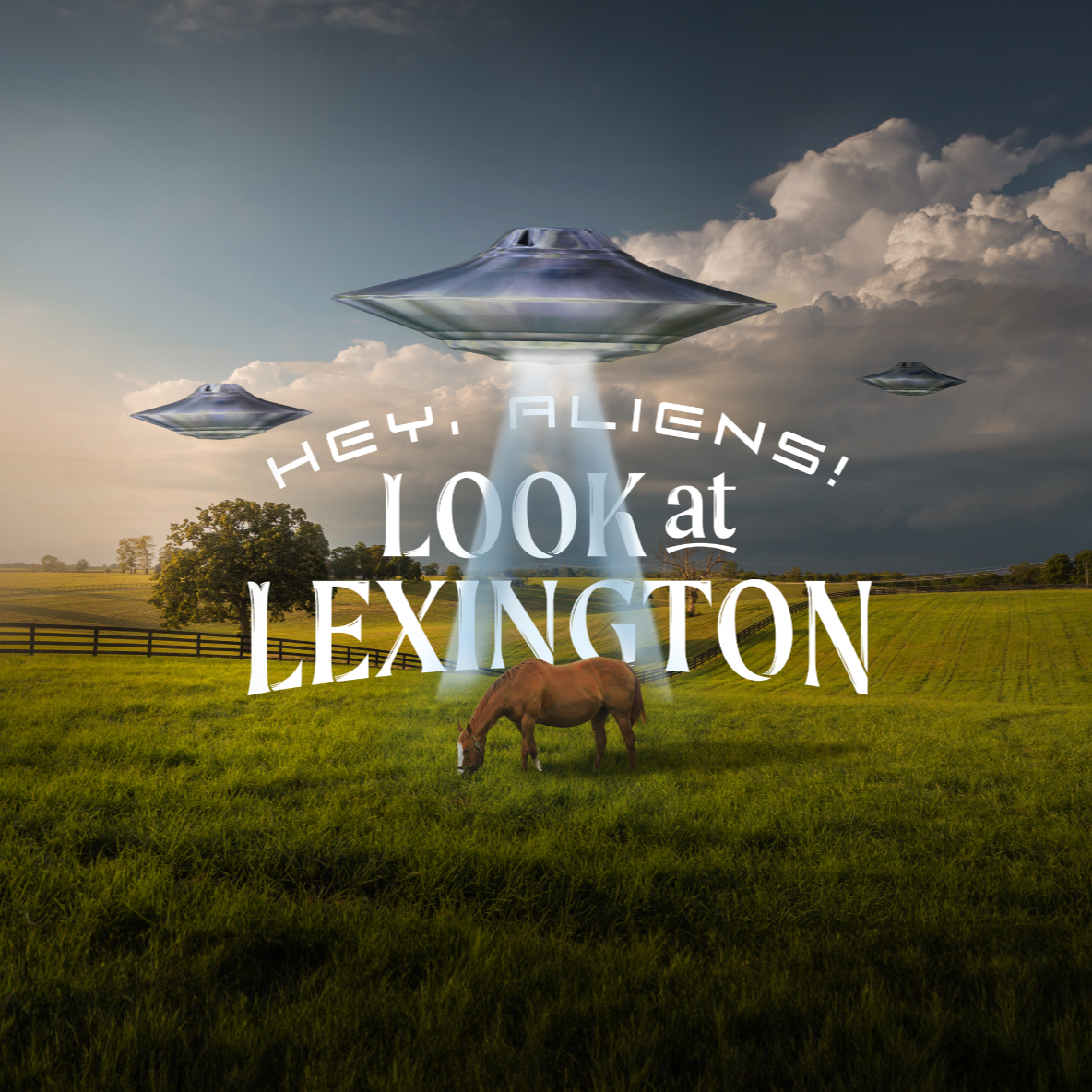 Screenshot 2025-10-14 at 11.52.16 AM.png