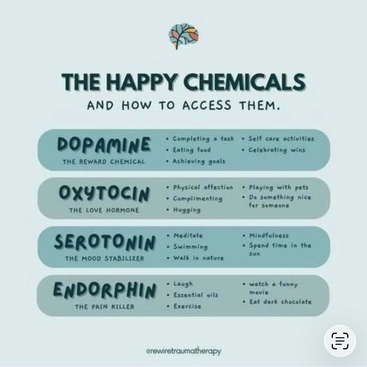 Loved this post from @rewiretraumatherapy. People are always wondering about how to naturally boost those feel good and helpful neurotransmitters and this is a great cheat sheet menu about how to do that in a healthy way.

Which one(s) are you drawn 