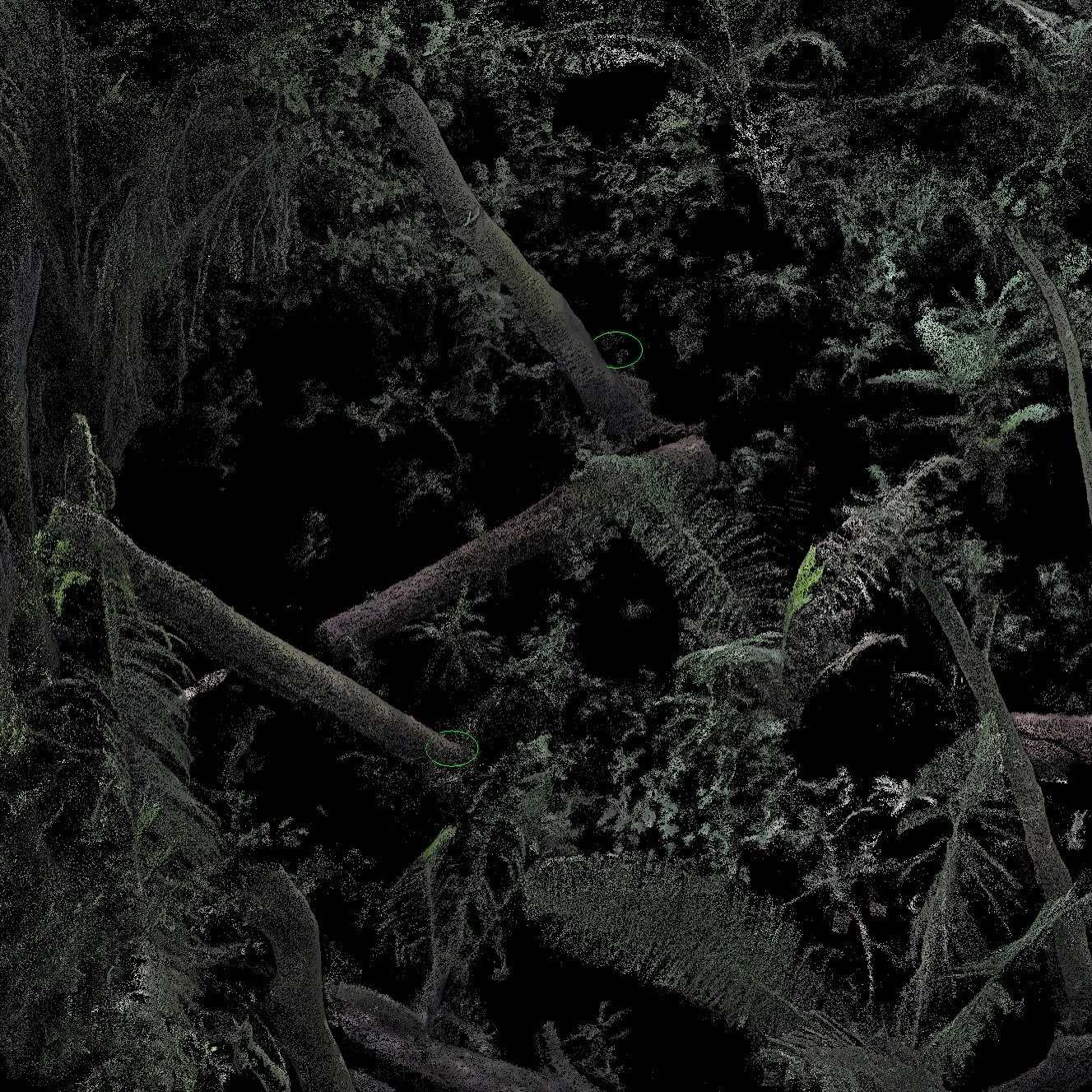 Escaneo LiDAR en propiedad con gran cantidad de &aacute;rboles. Nuestro equipo ocupa a cada &aacute;rbol con excelente precisi&oacute;n, as&iacute; c&oacute;mo la creaci&oacute;n de la nube de puntos que puede ser utilizada para las etapas de dise&nt