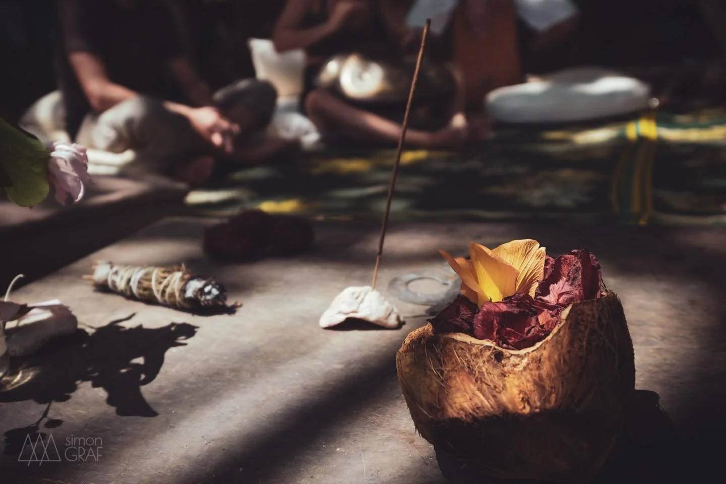 House of waves has been sharing the space to creation and expansion through humans organic sounds. We feel honored to offer this land in service for the community. Everyone is welcome here.
