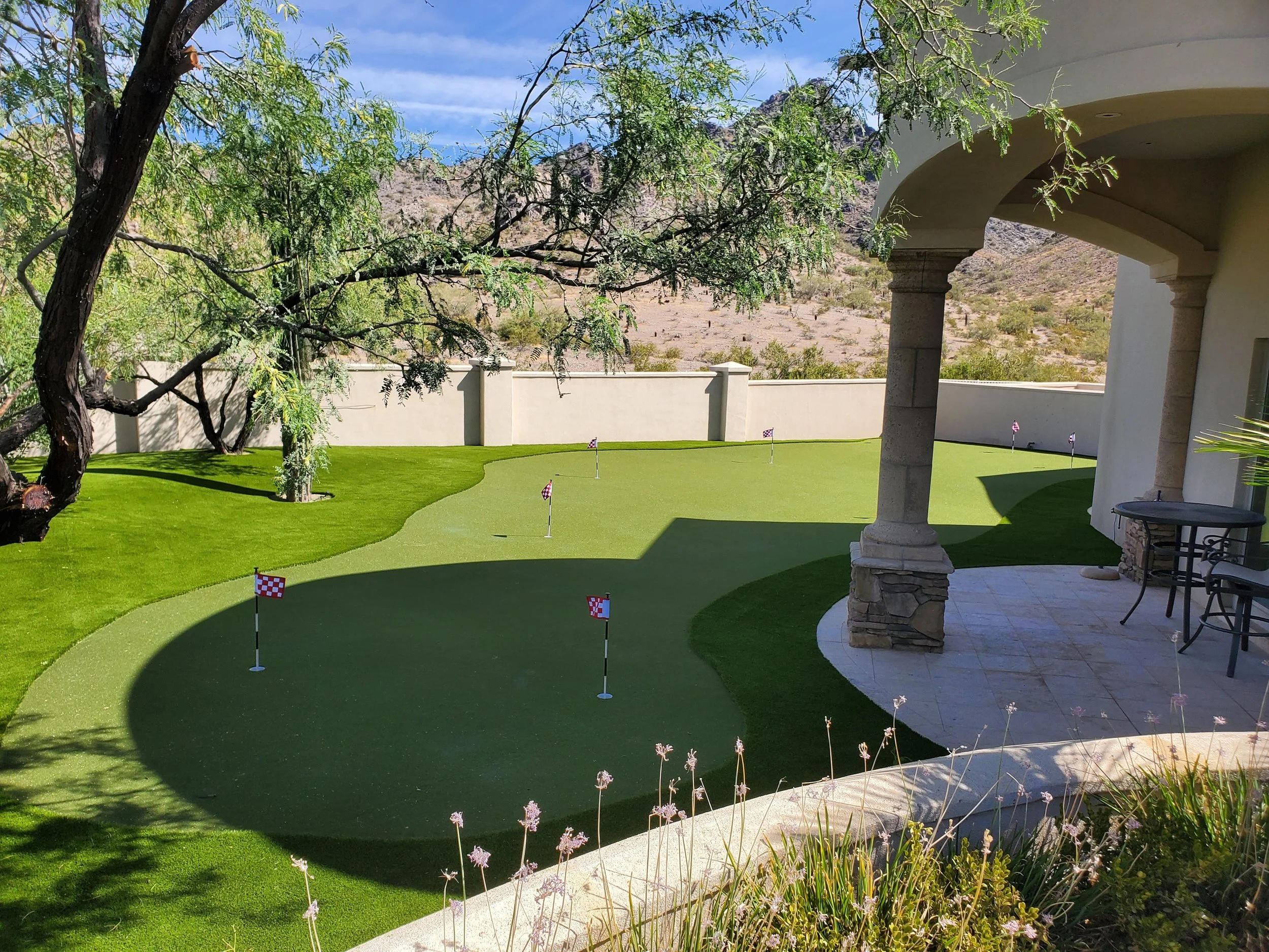 AZ Putt 5 200522.jpg