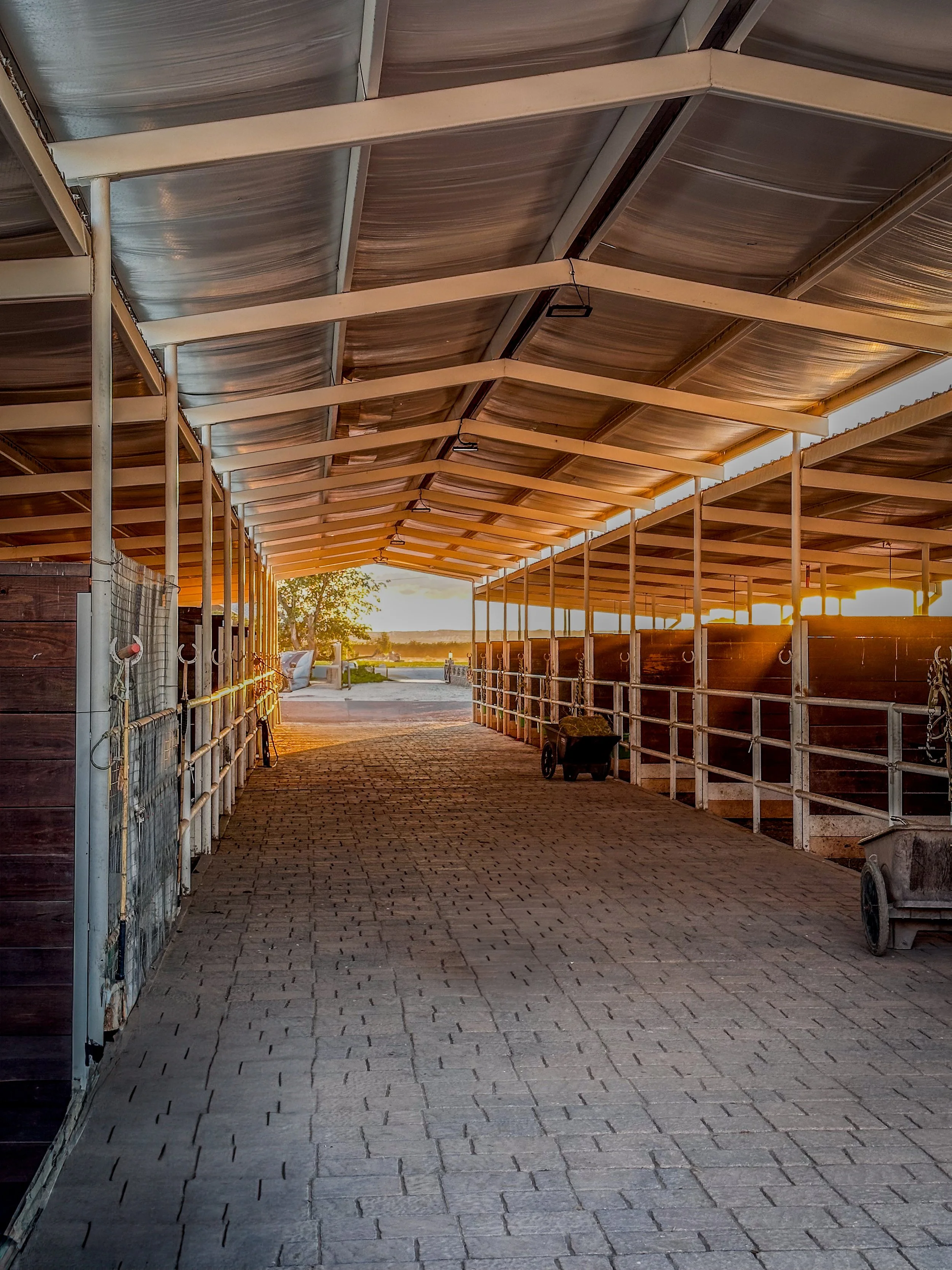 Stalls_BW_5.jpg