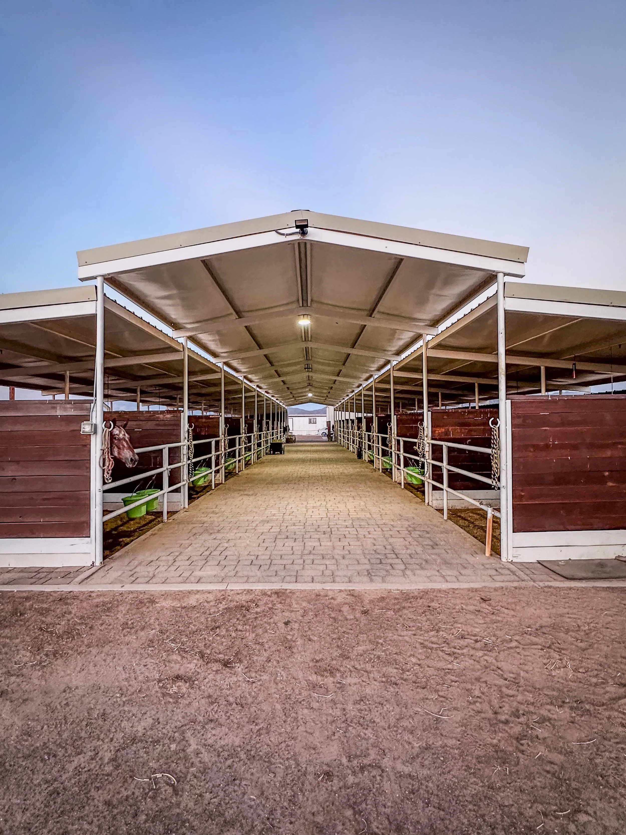 Stalls_BW_1.jpg