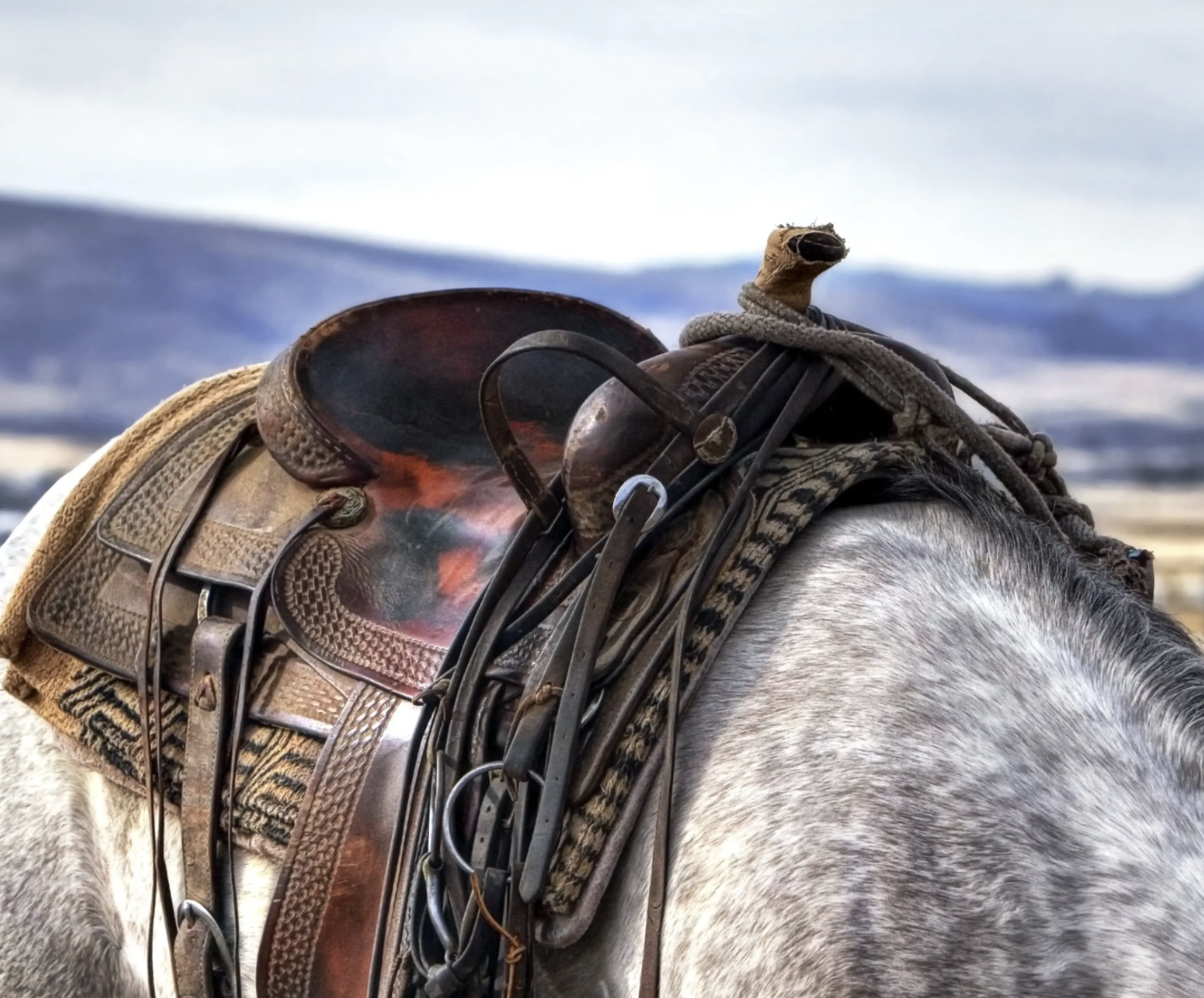 Insider's Guide to Dude Ranches