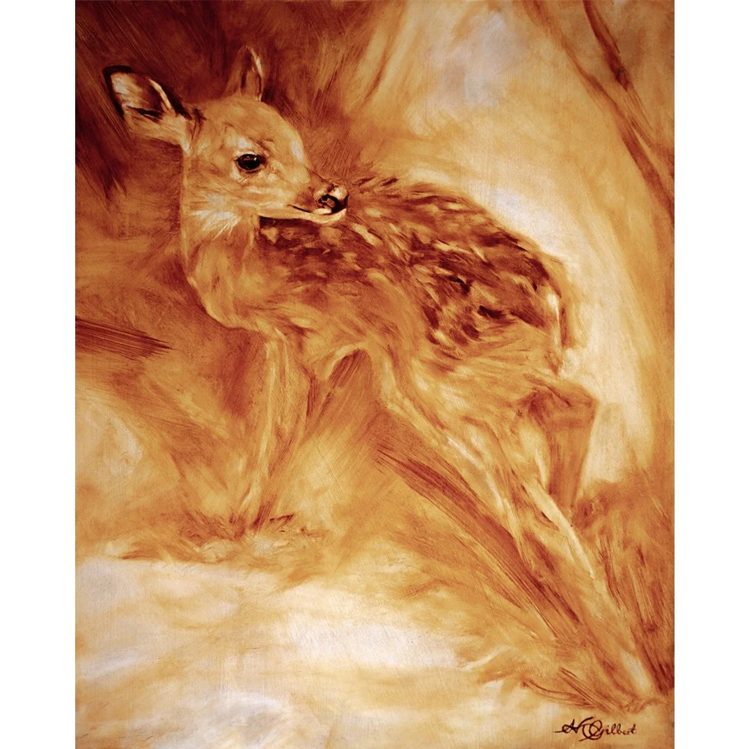Young Fawn