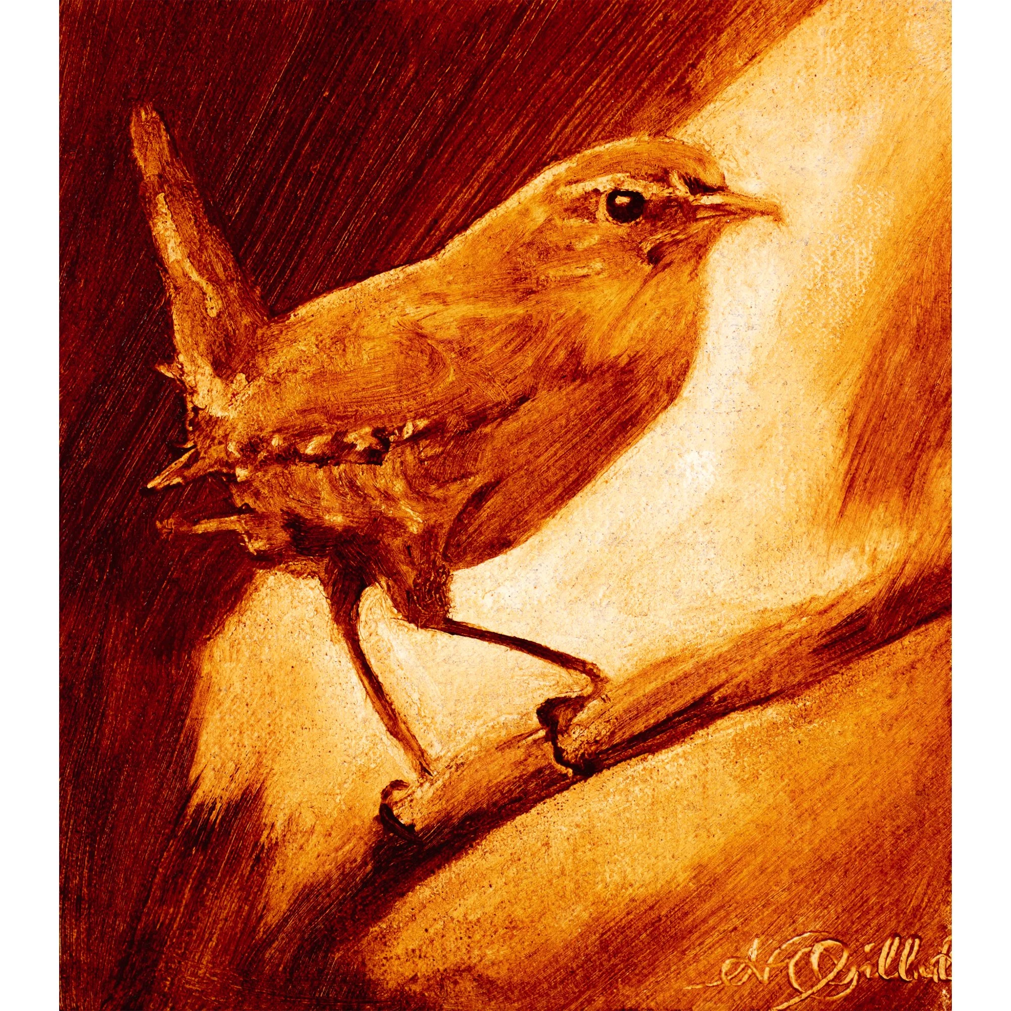 Red Wren