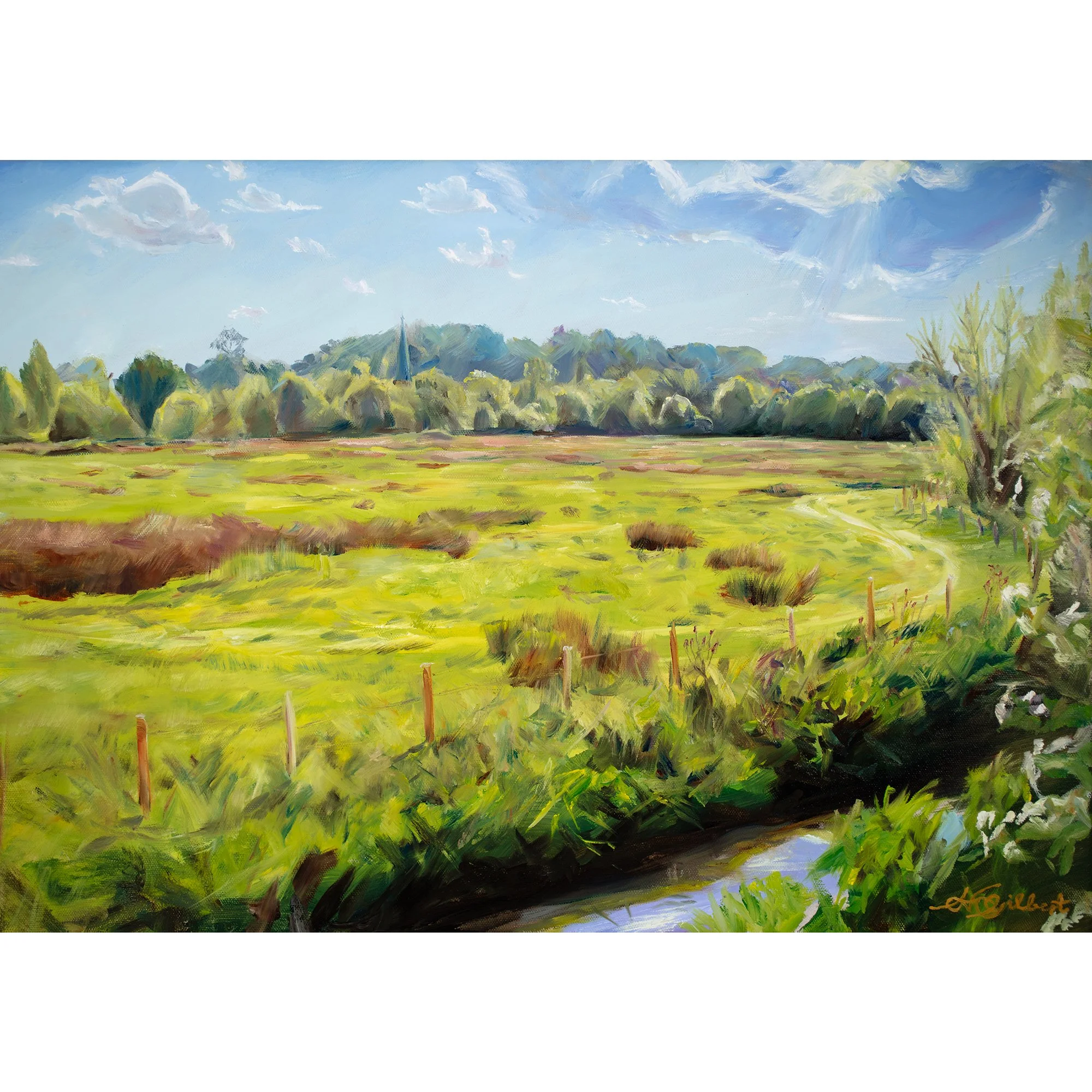 "The sun above the Lammas Lands"  PRINT