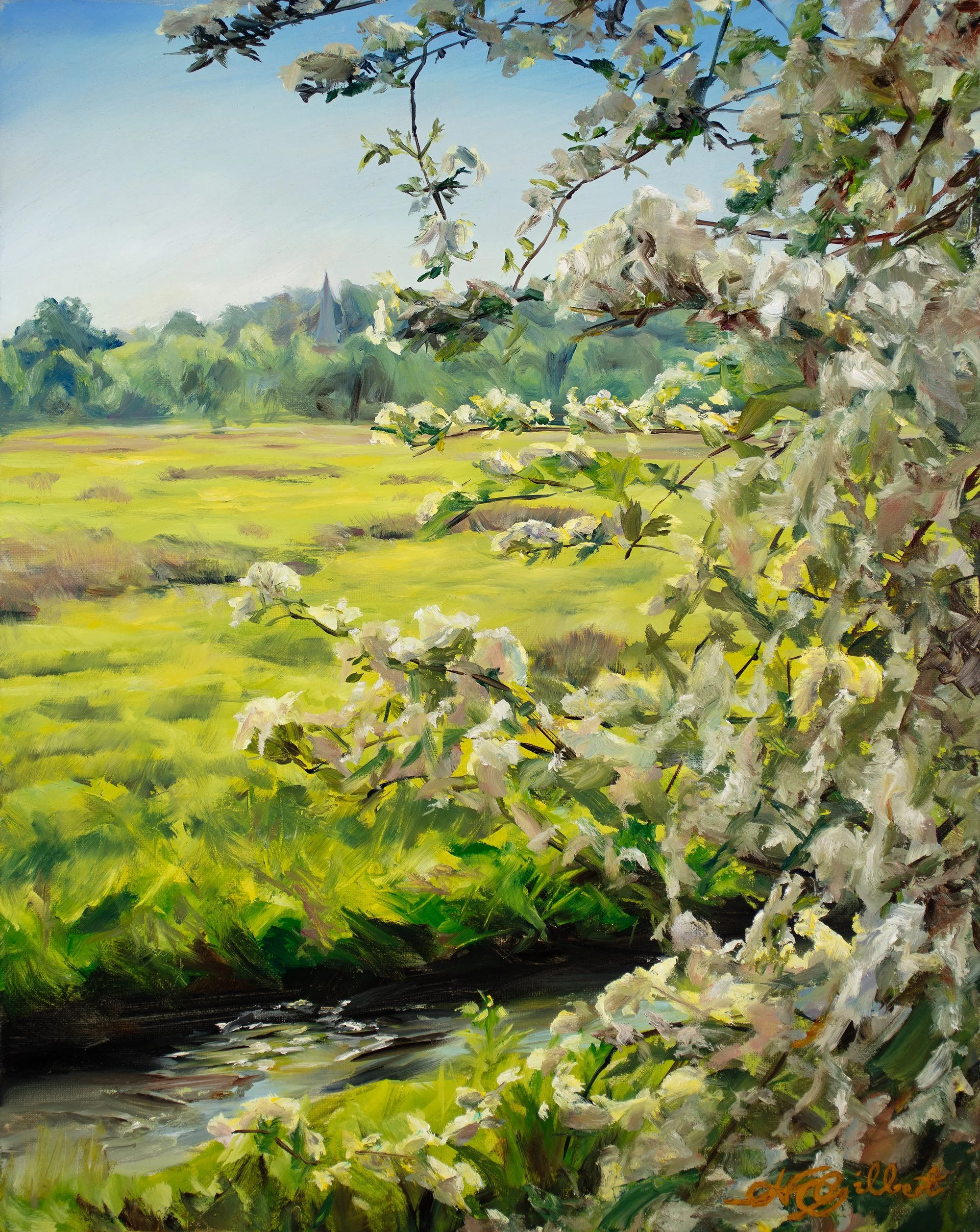Blossoms over the Lammas Lands.jpg