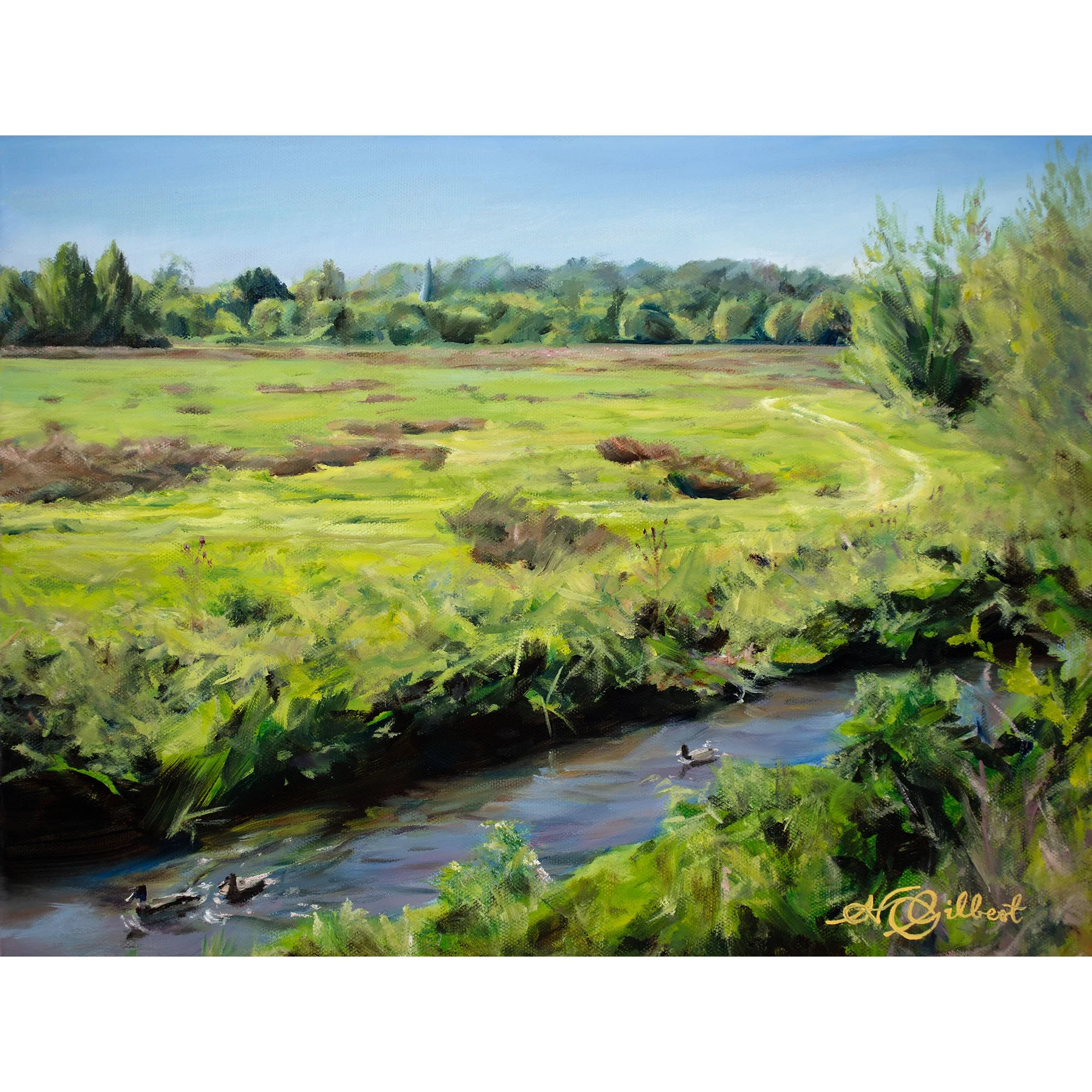"Lammas Lands Paddling Ducks"  Limited Edition Print of 250