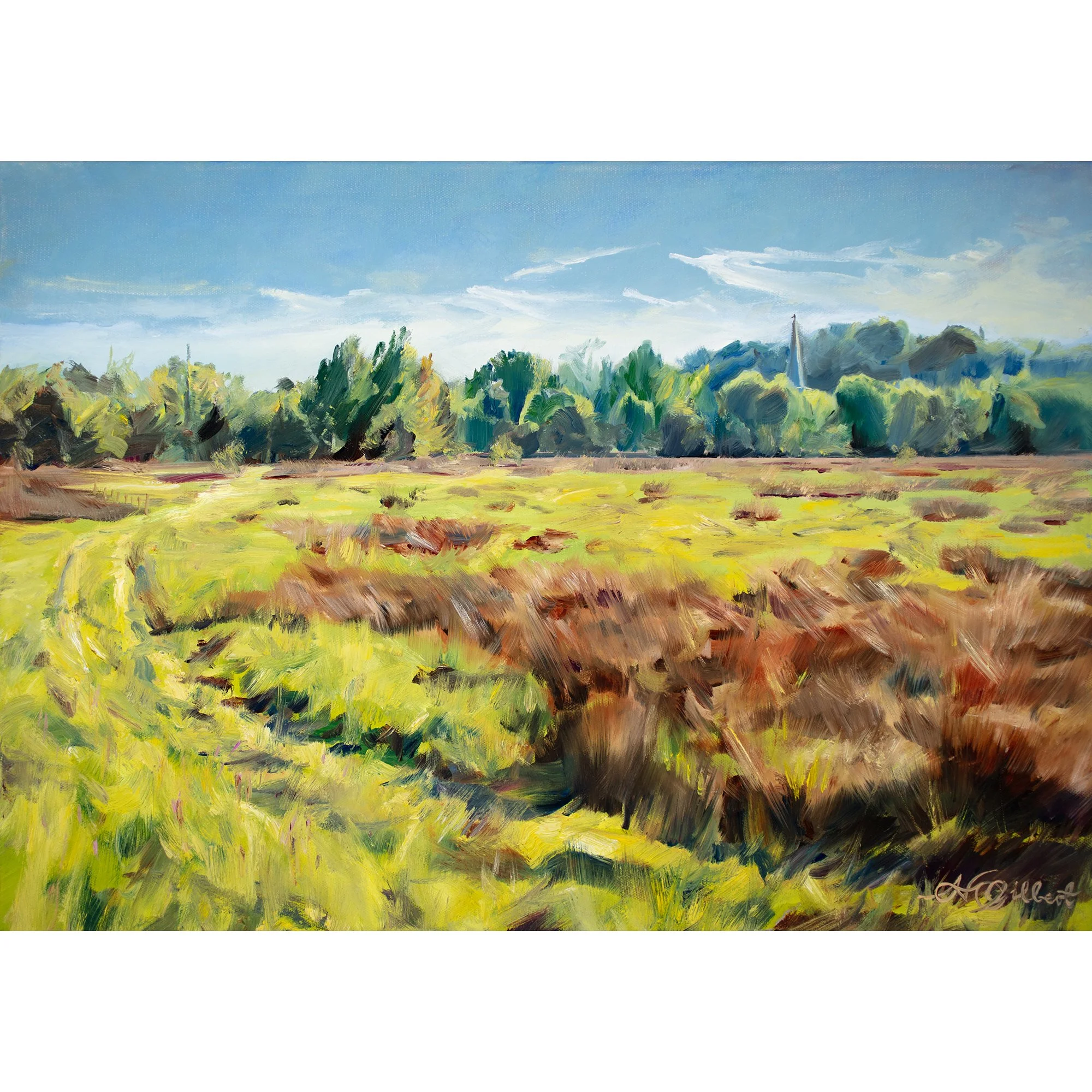 path through the lammas lands product image.jpg