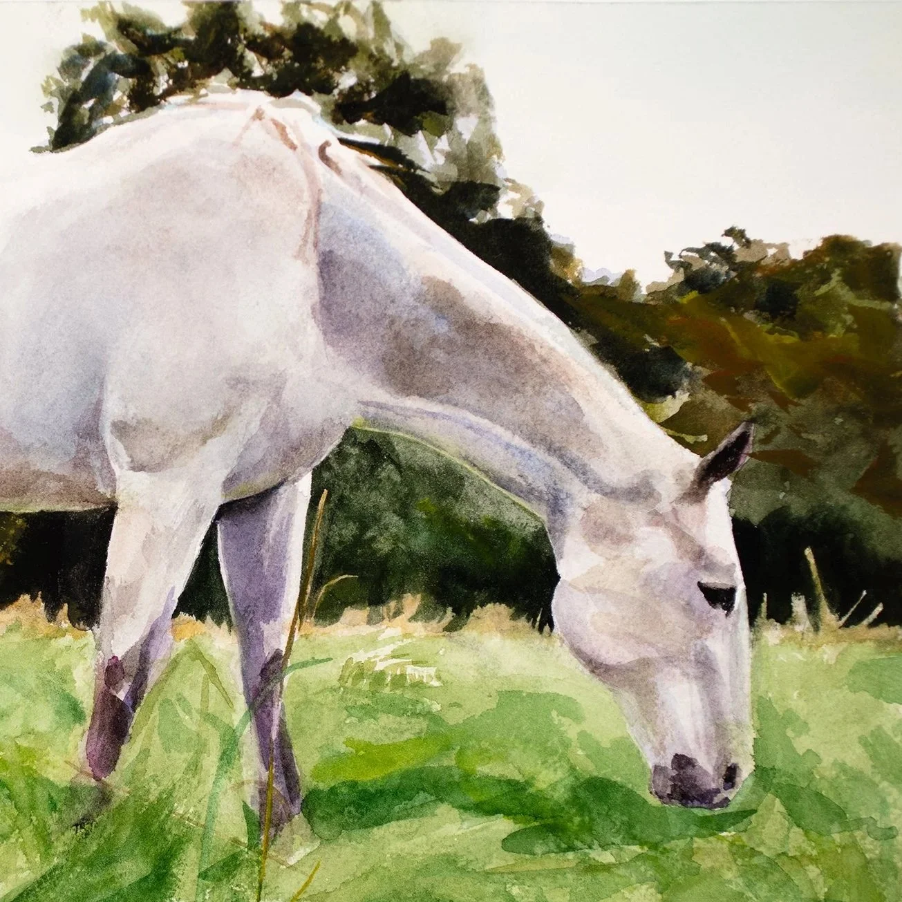 WATERCOLOUR