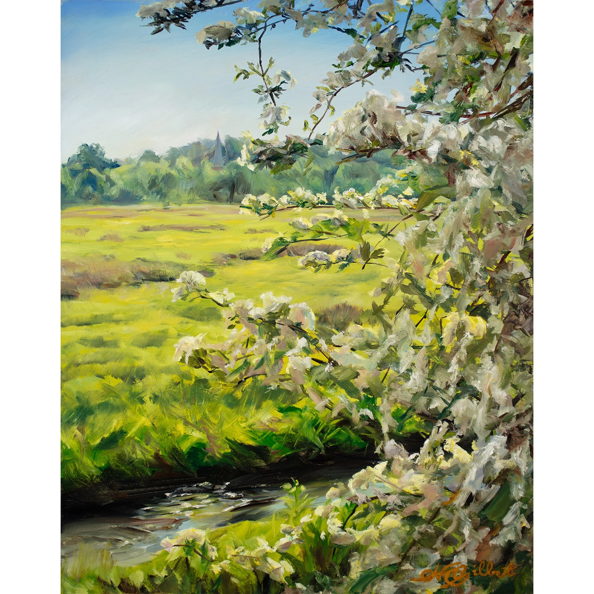 Blossoms over the lammas lands product image.jpg