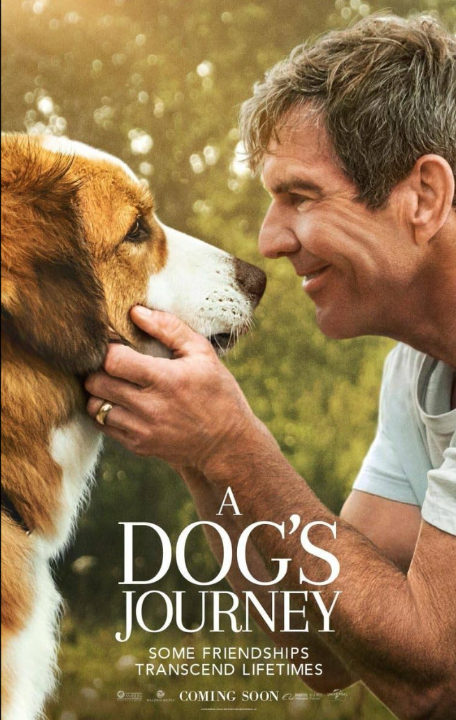 A man gently holding the face of a large, brown and white dog with a close-up of their faces touching, outdoors with blurred green trees in the background, promoting a film about the bond between humans and dogs.