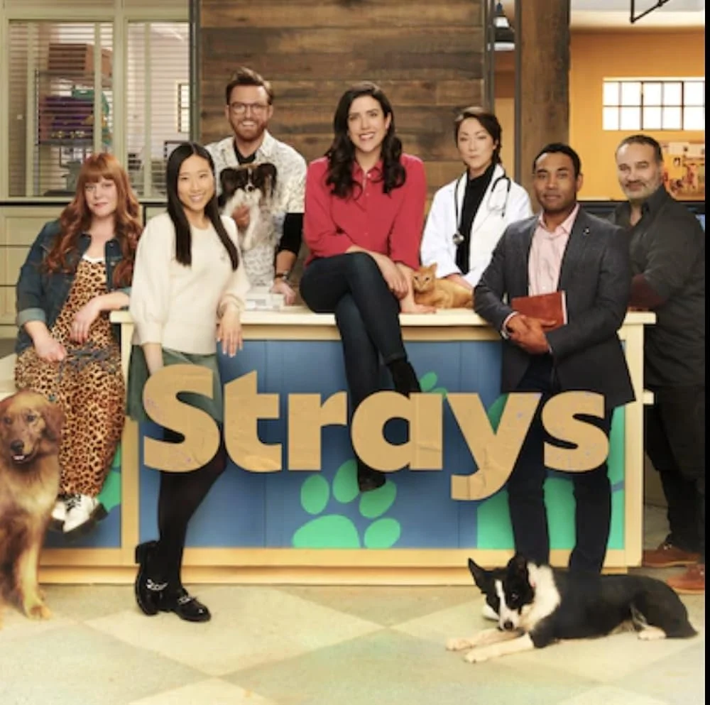 Group photo of characters from the TV show 'Brooklyn Nine-Nine' in a veterinarian office with the 'Strays' logo in the foreground, featuring dogs and cats.