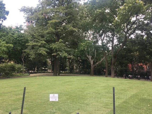 Impact of Soil Mounding in Washington Square Park Woodland