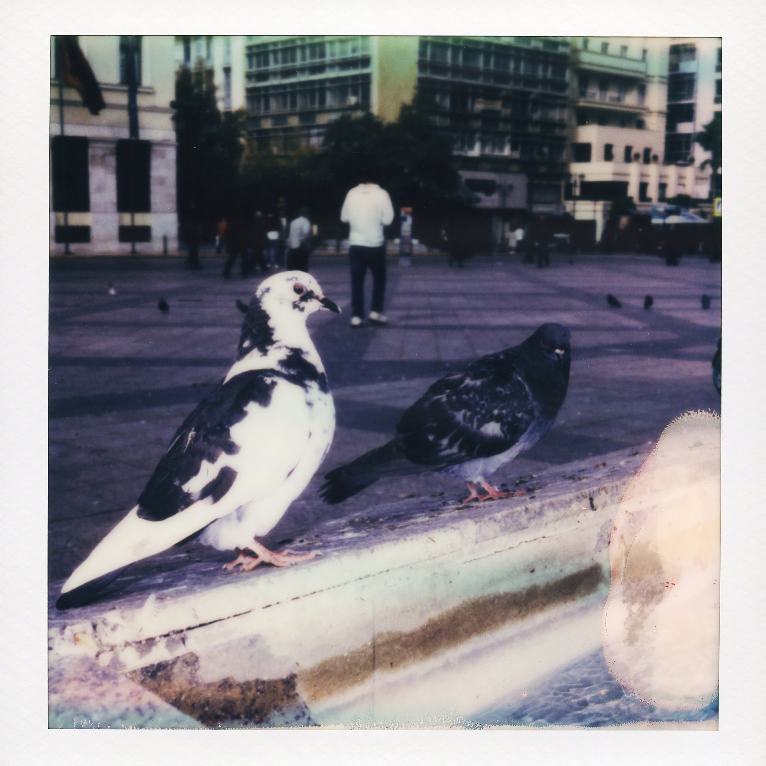 Artwork - Is Beauty Enough.jpg