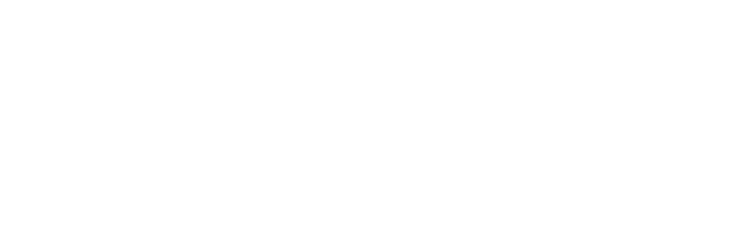Logo des Landesfeuerwehrverbands Sachsen e.V., weiße Grafik auf schwarzem Hintergrund