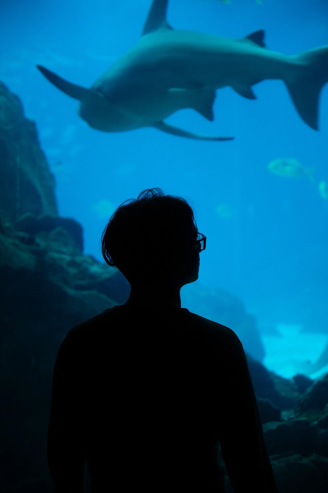 Jesco Vogt Aquarium Nils Pößel