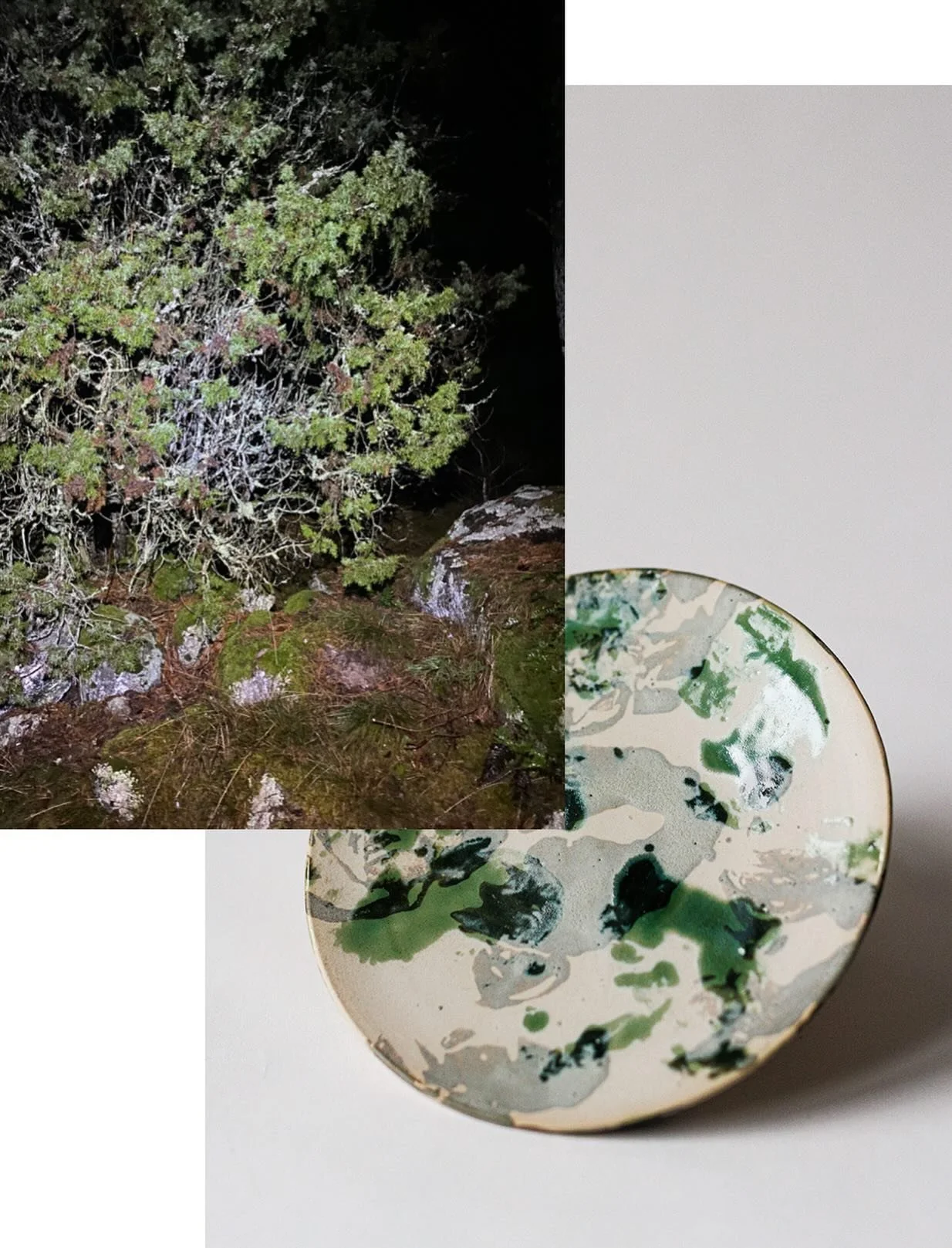 I am sensing information in my surroundings that tells me spring is upon us! That means warmer days and hopefully a little bit of hope for the future of humankind?? Destruction aside, I will also aim to launch new and fresh ceramics on my webpage in 