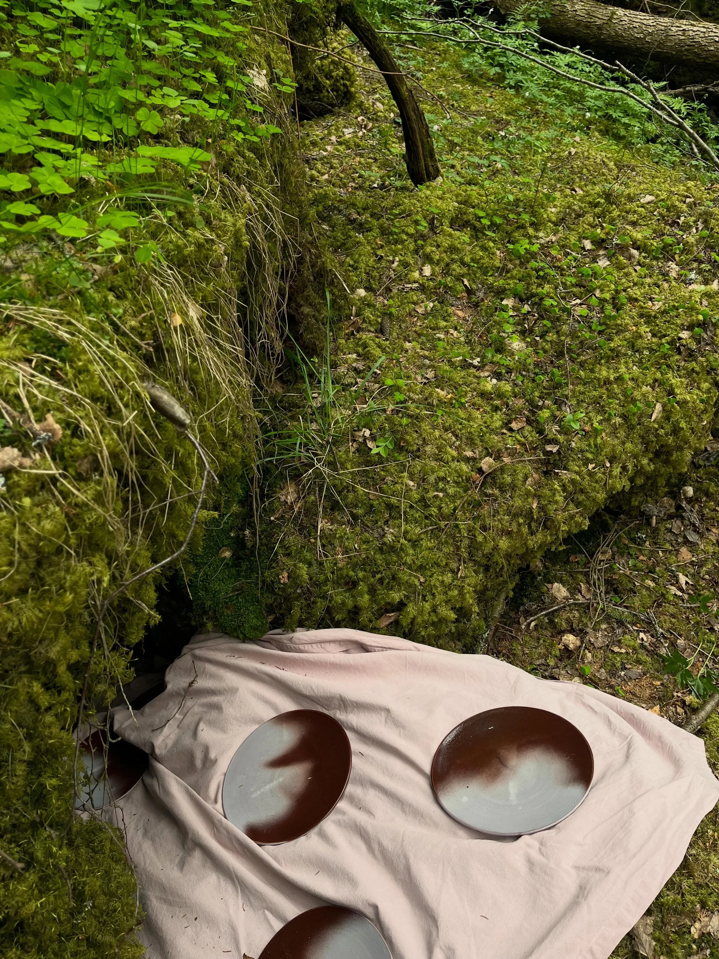Consumed by nature