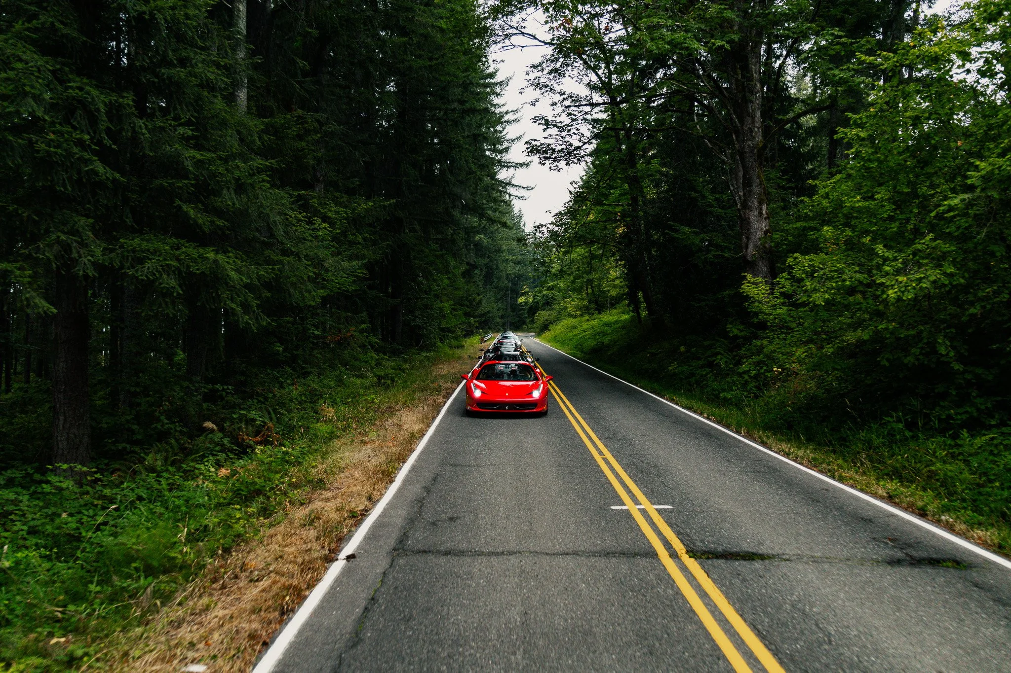 0D8A2626.jpg