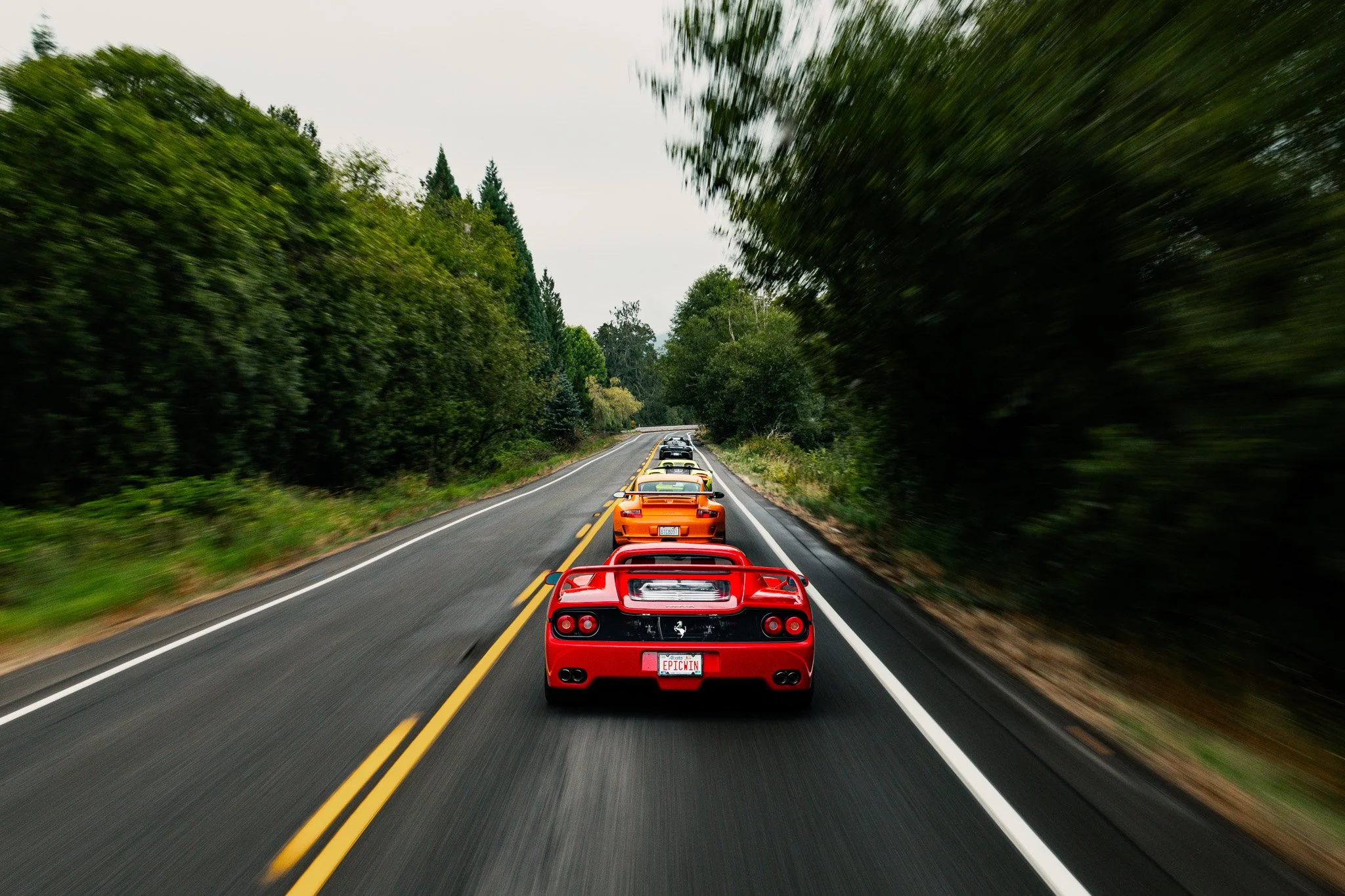 Northwest Exotics