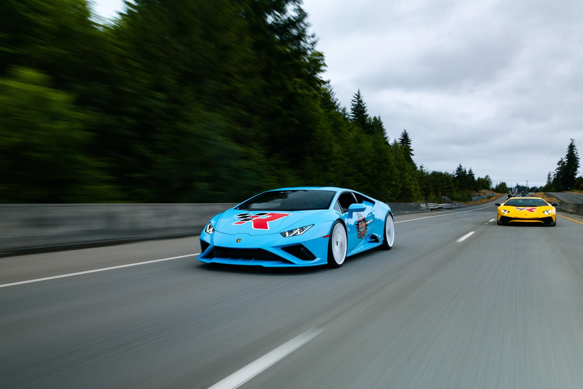 0D8A4496.jpg