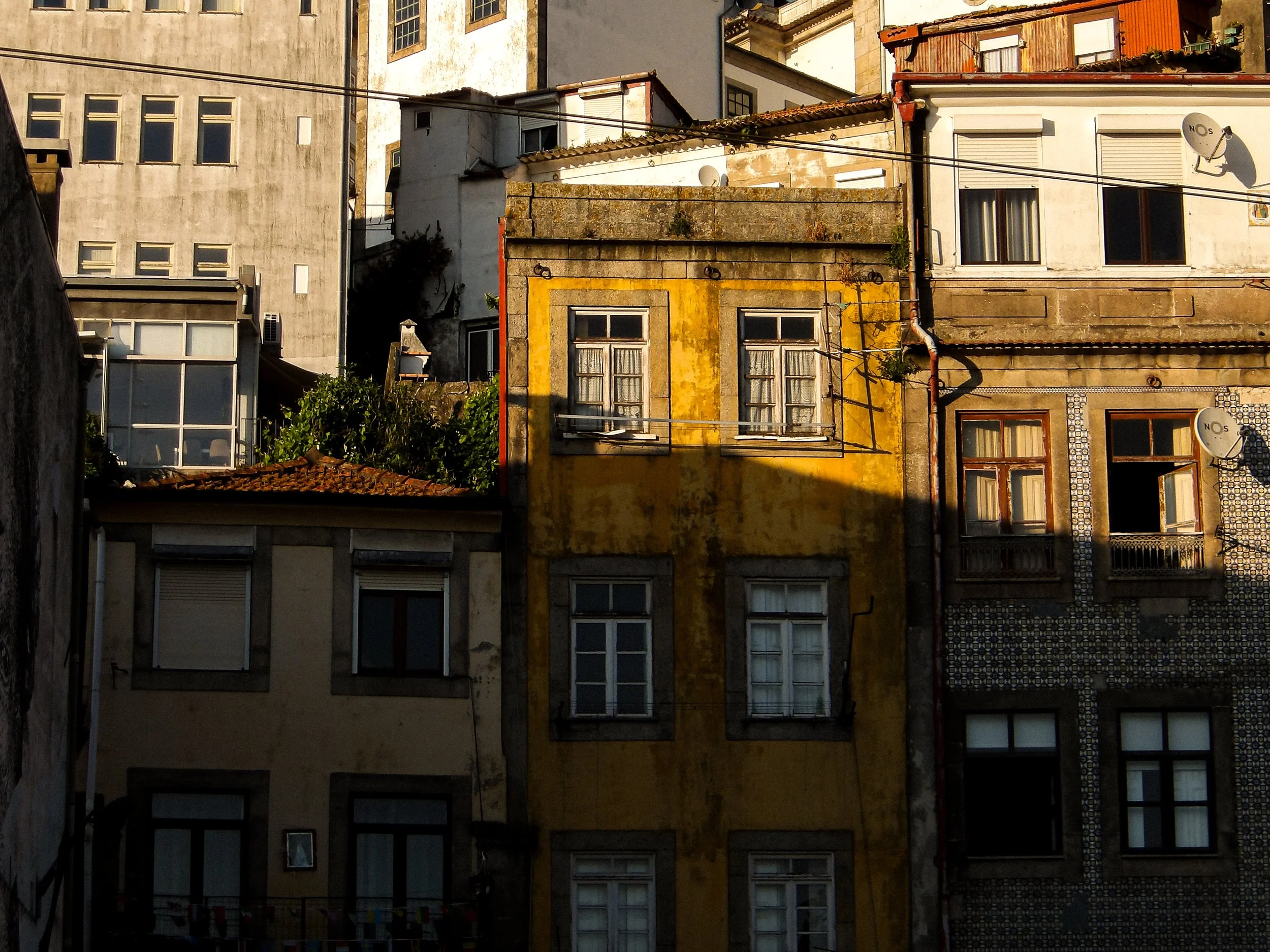 100_0290.jpeg
