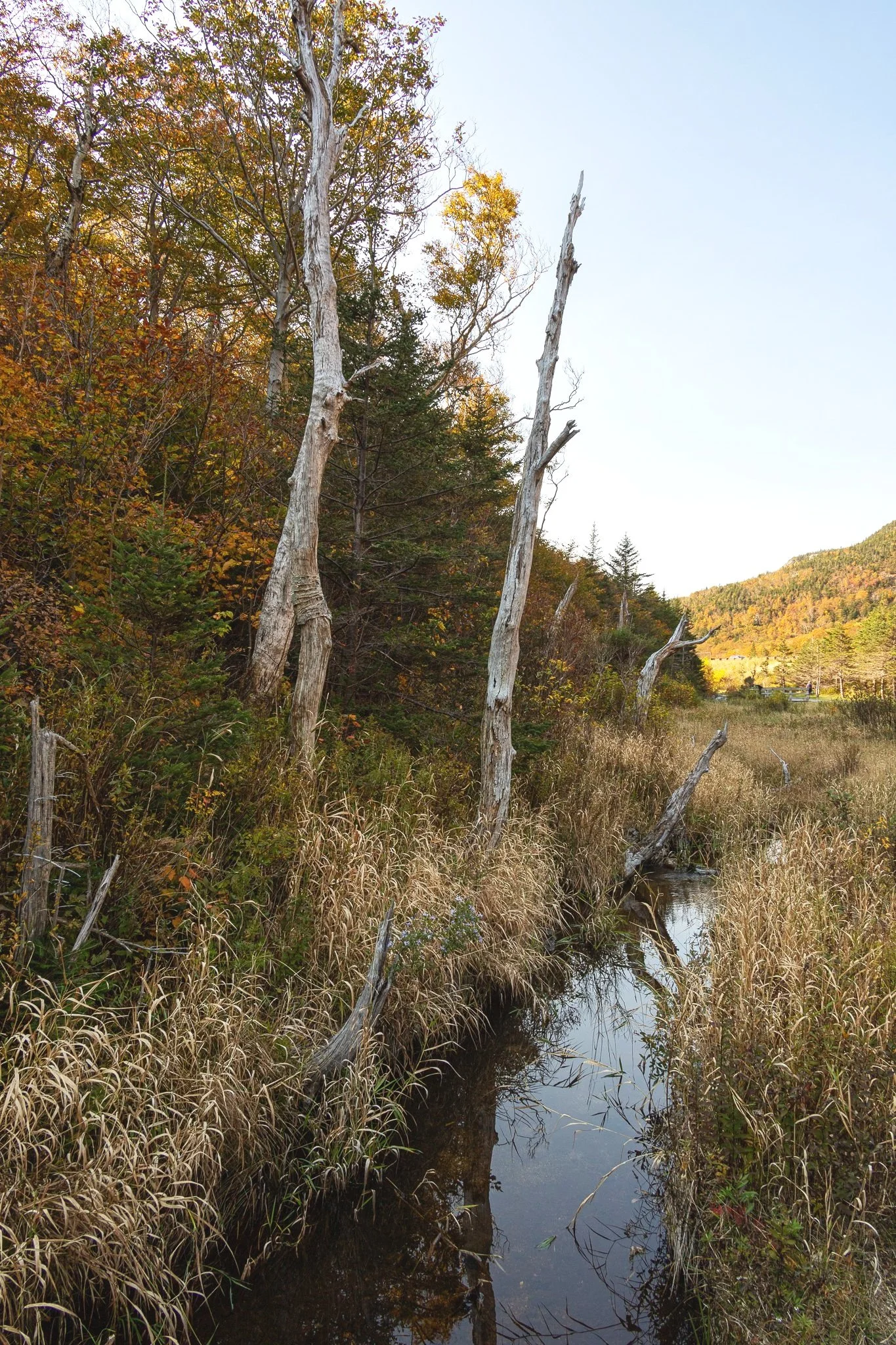 _MG_3851.jpg
