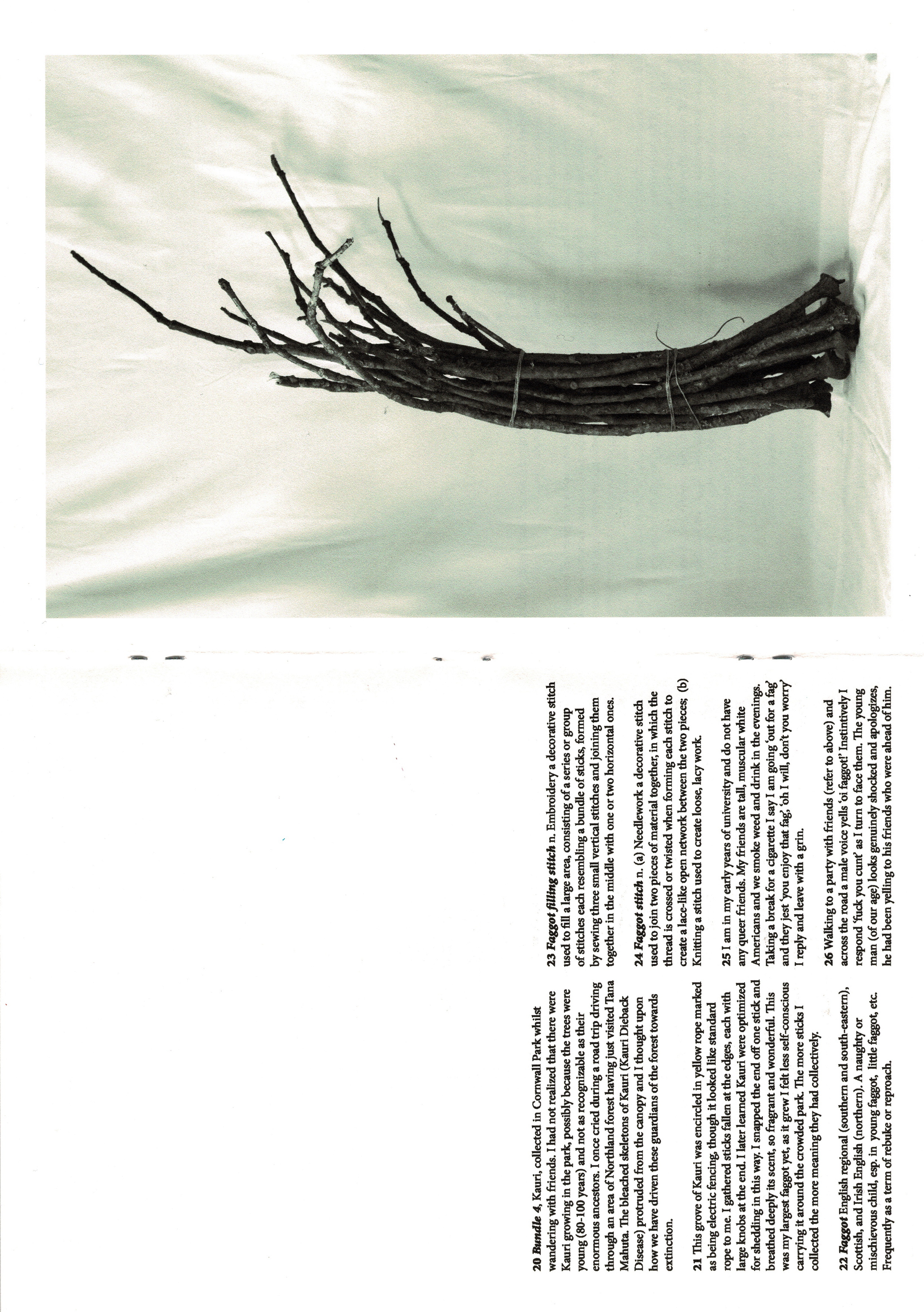 bundle of sticks spread scan.png