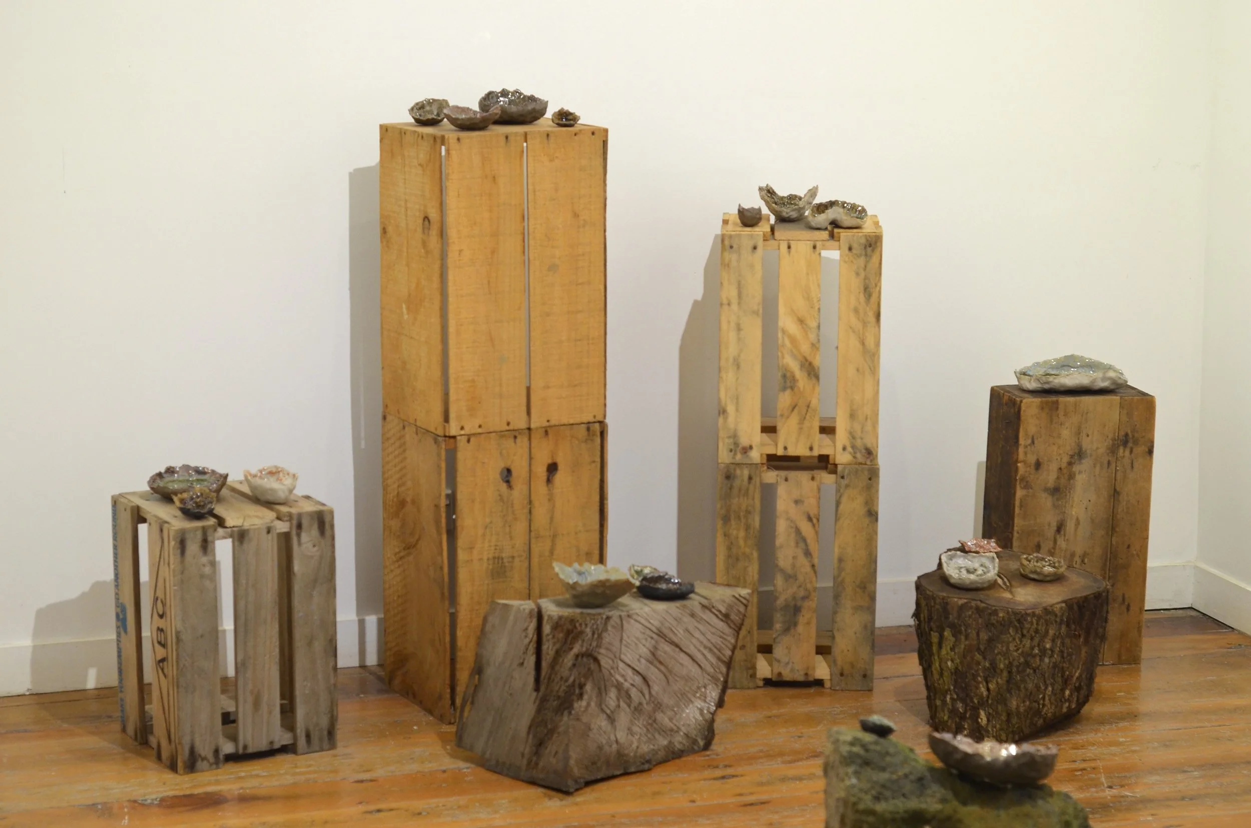 Exhibition wood.JPG