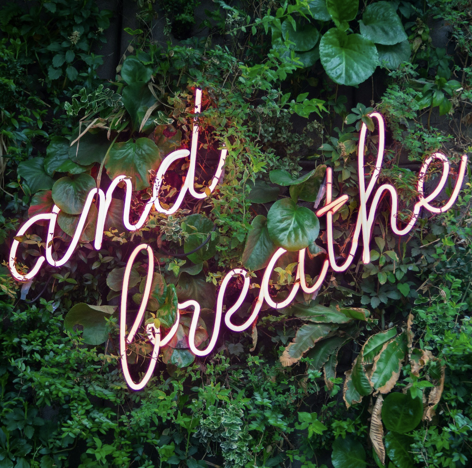 Montclair Flea Presents: Sacred Self - A Wellness Event