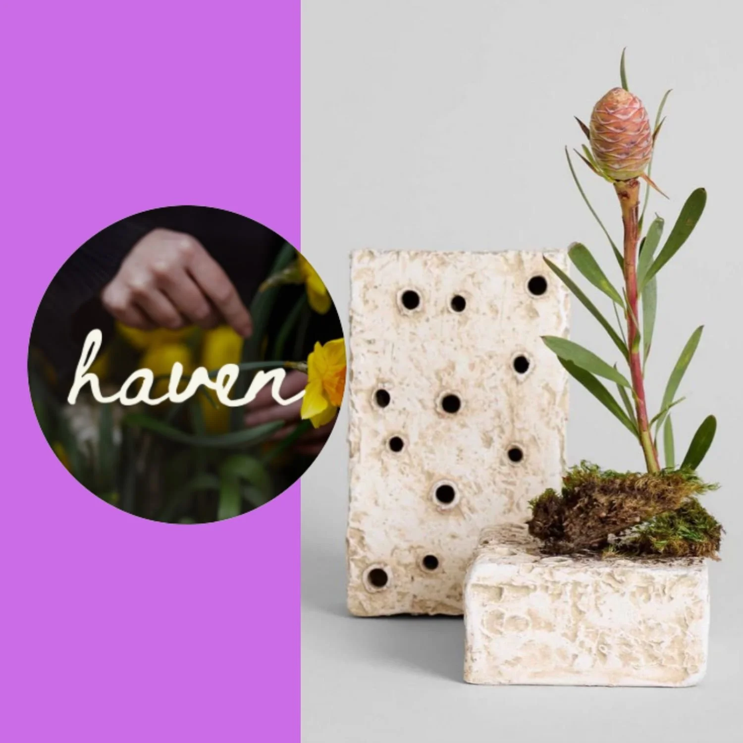 Untitled (Card (Square))-6.jpg