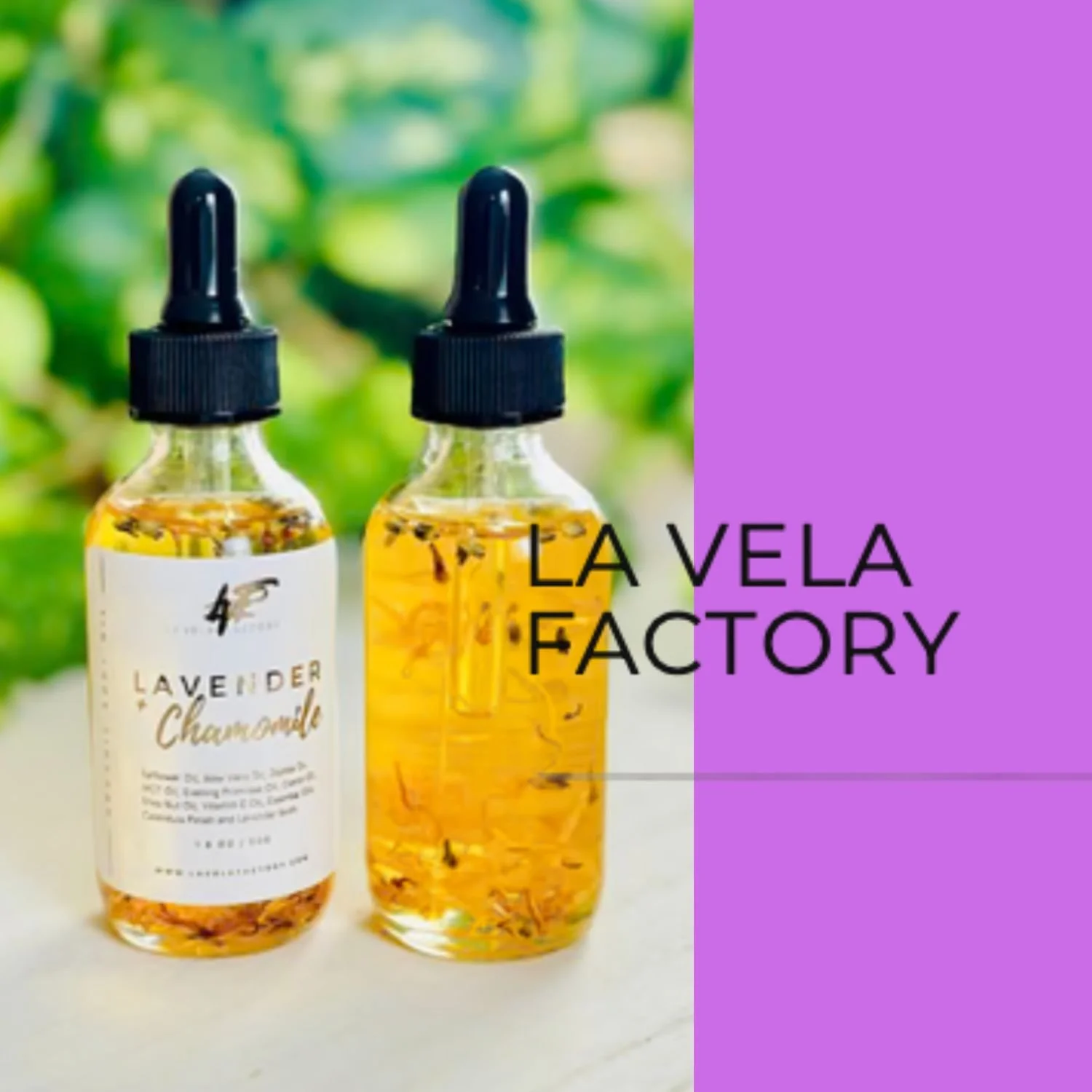 Untitled (Card (Square))-9.jpg