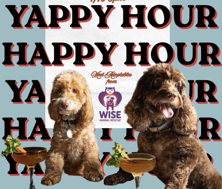 Yappy Hour - A Dog Friendly Happy Hour